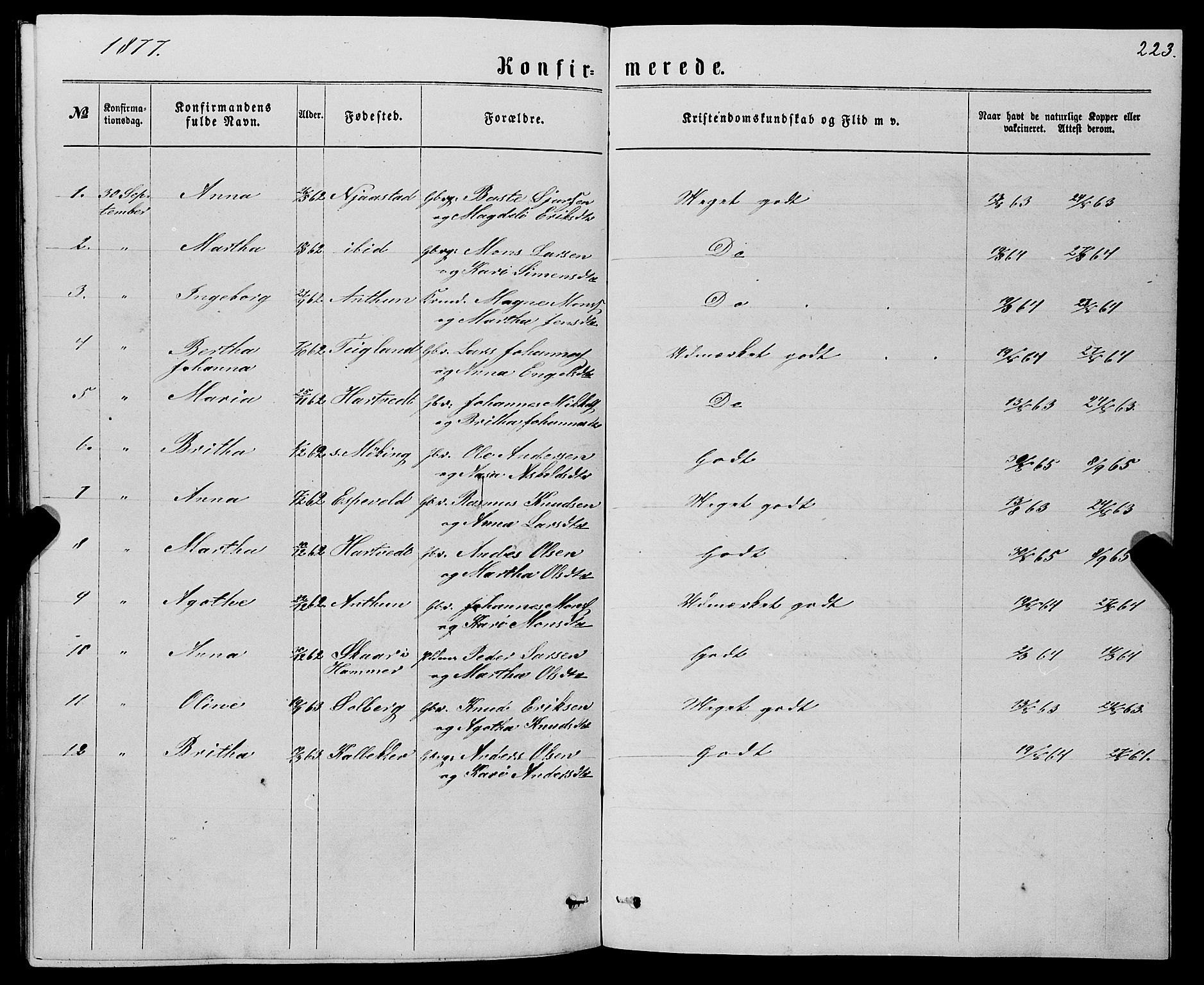 Haus sokneprestembete, AV/SAB-A-75601/H/Haa: Ministerialbok nr. A 18, 1871-1877, s. 223