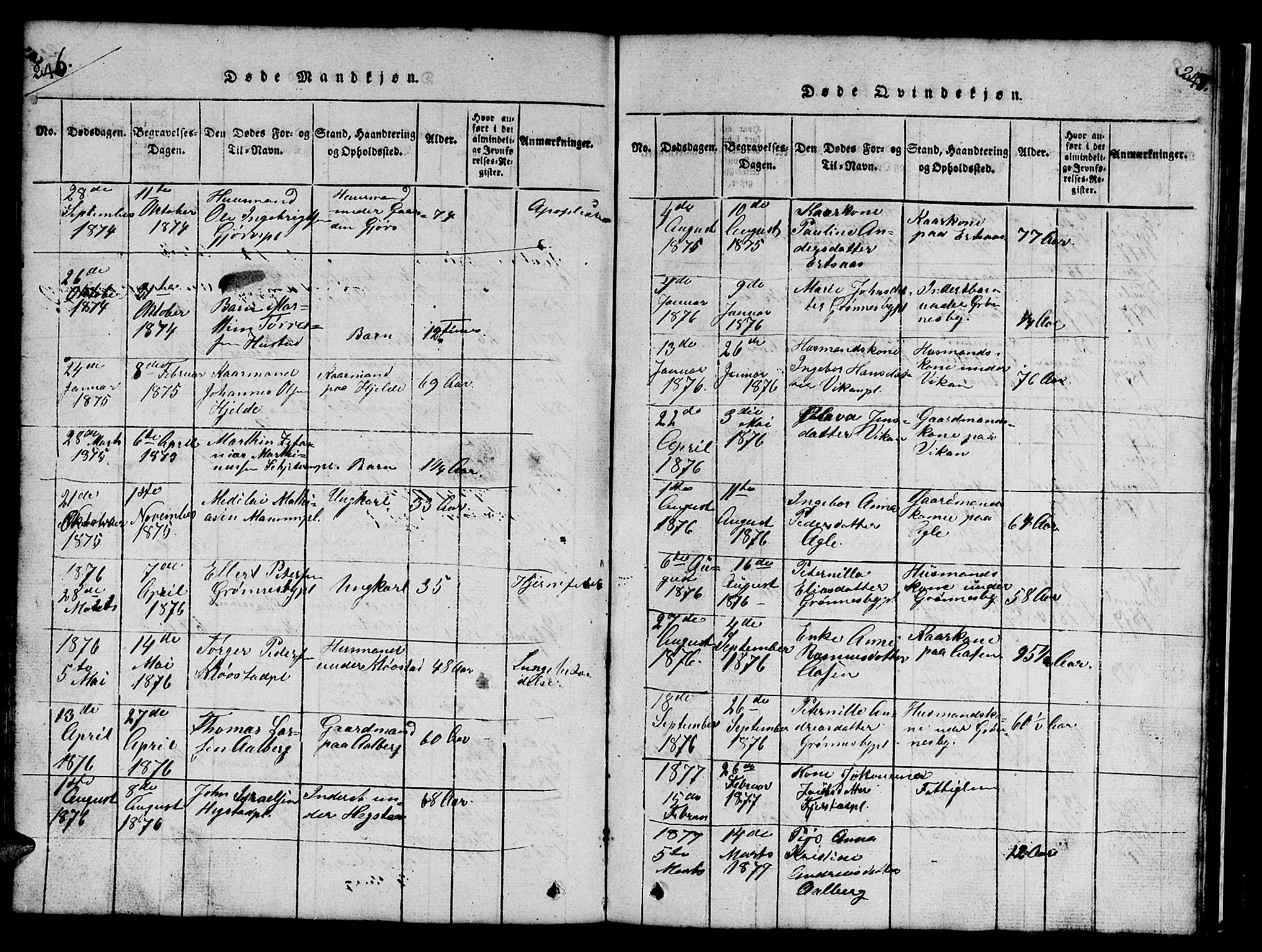 Ministerialprotokoller, klokkerbøker og fødselsregistre - Nord-Trøndelag, SAT/A-1458/732/L0317: Klokkerbok nr. 732C01, 1816-1881, s. 246-247