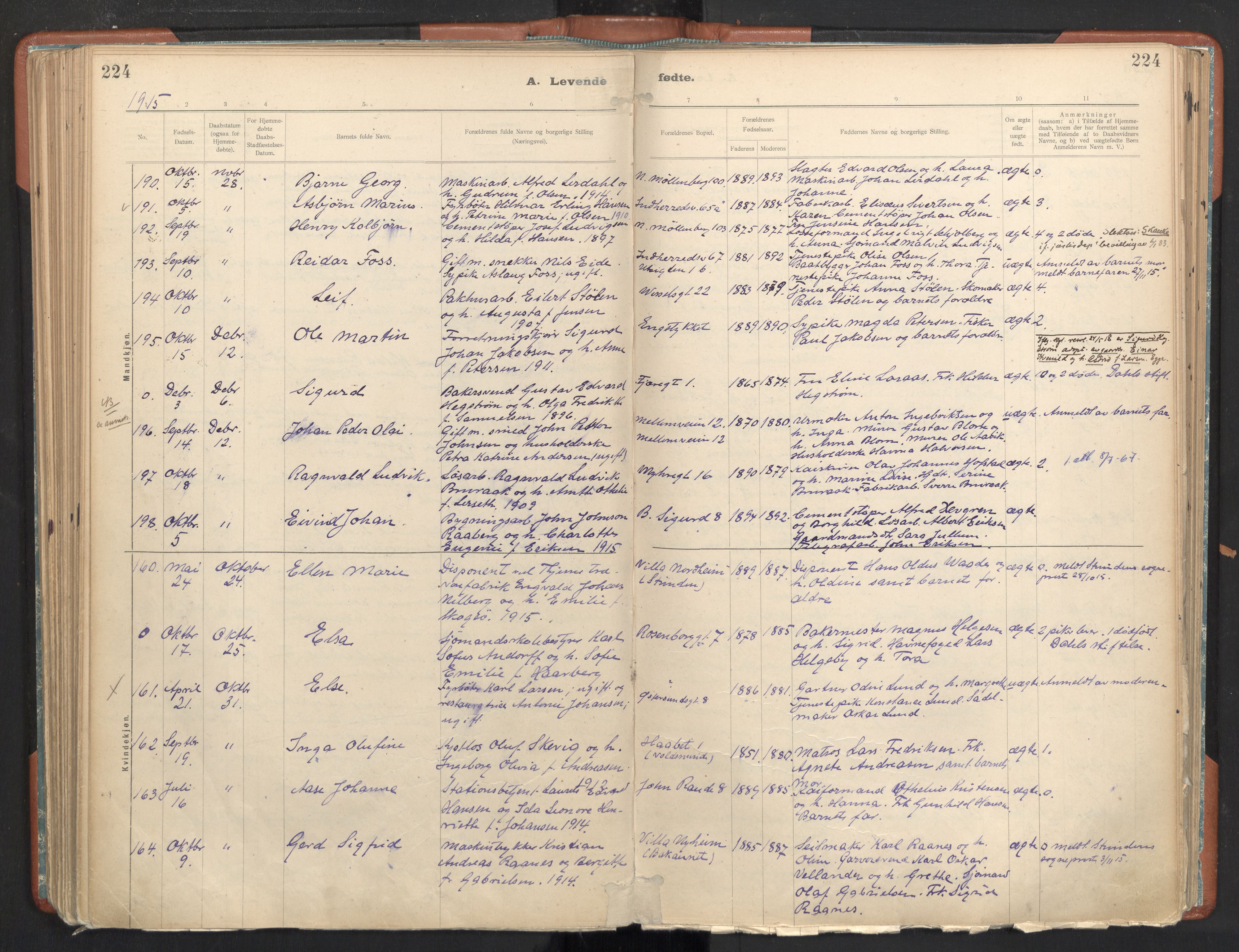 Ministerialprotokoller, klokkerbøker og fødselsregistre - Sør-Trøndelag, SAT/A-1456/605/L0243: Ministerialbok nr. 605A05, 1908-1923, s. 224