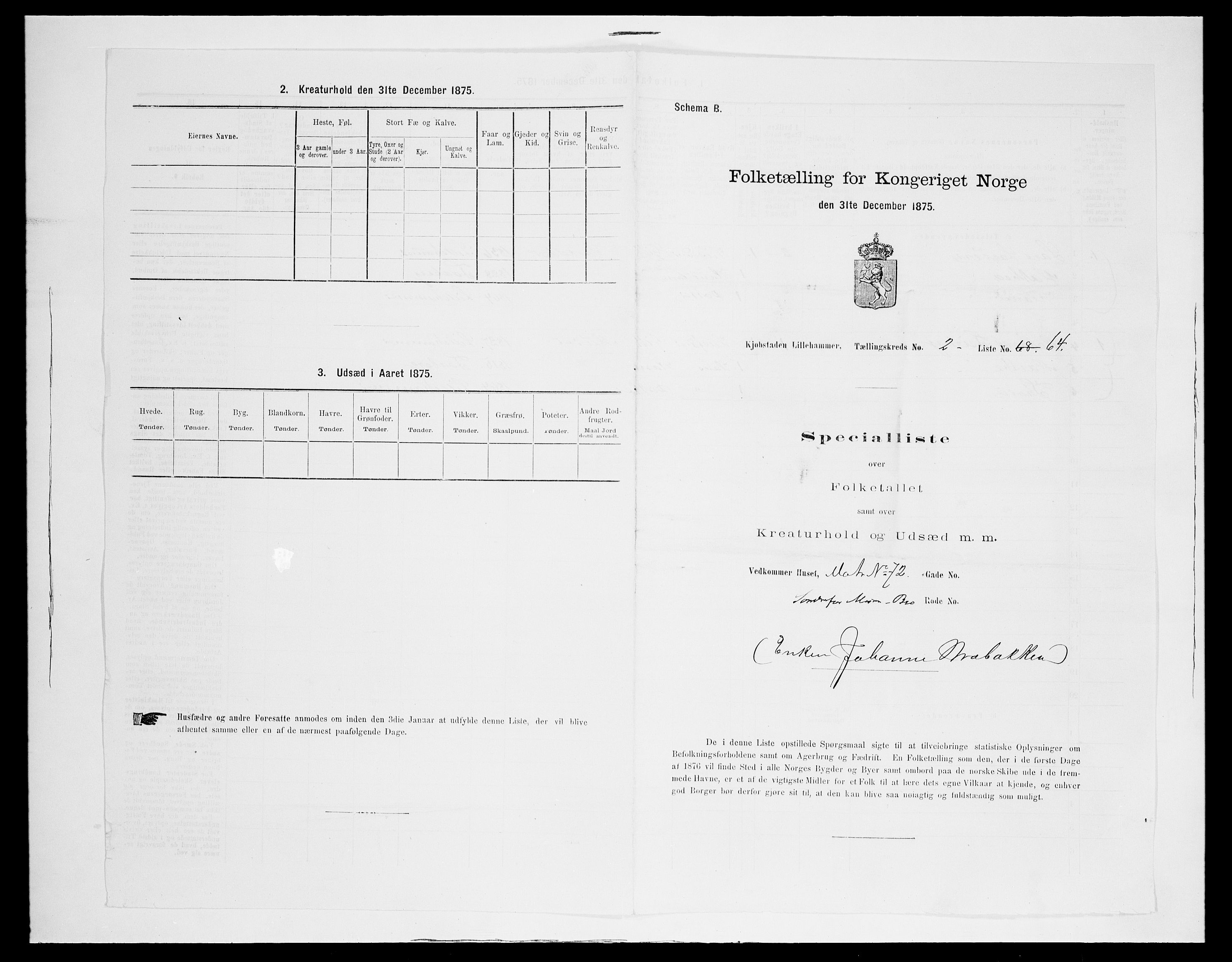 SAH, Folketelling 1875 for 0501B Fåberg prestegjeld, Lillehammer kjøpstad, 1875, s. 148