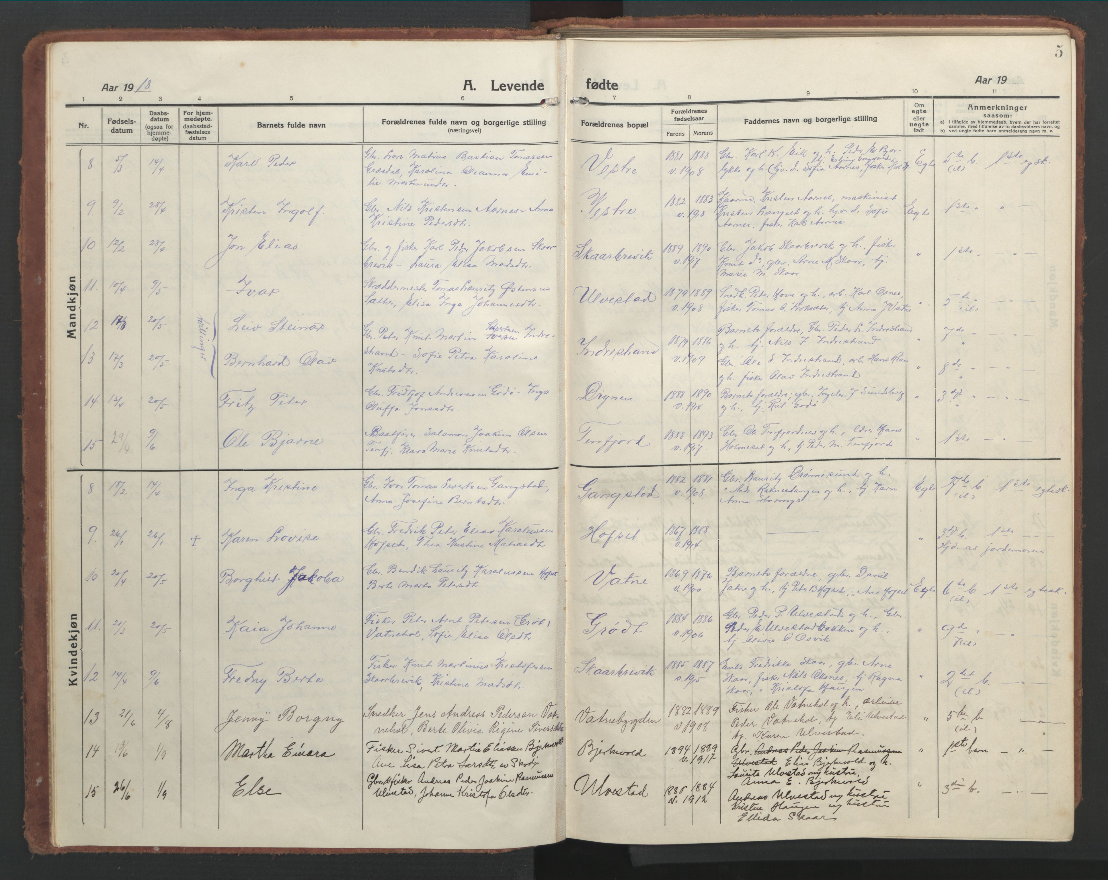 Ministerialprotokoller, klokkerbøker og fødselsregistre - Møre og Romsdal, AV/SAT-A-1454/525/L0378: Klokkerbok nr. 525C04, 1915-1947, s. 5