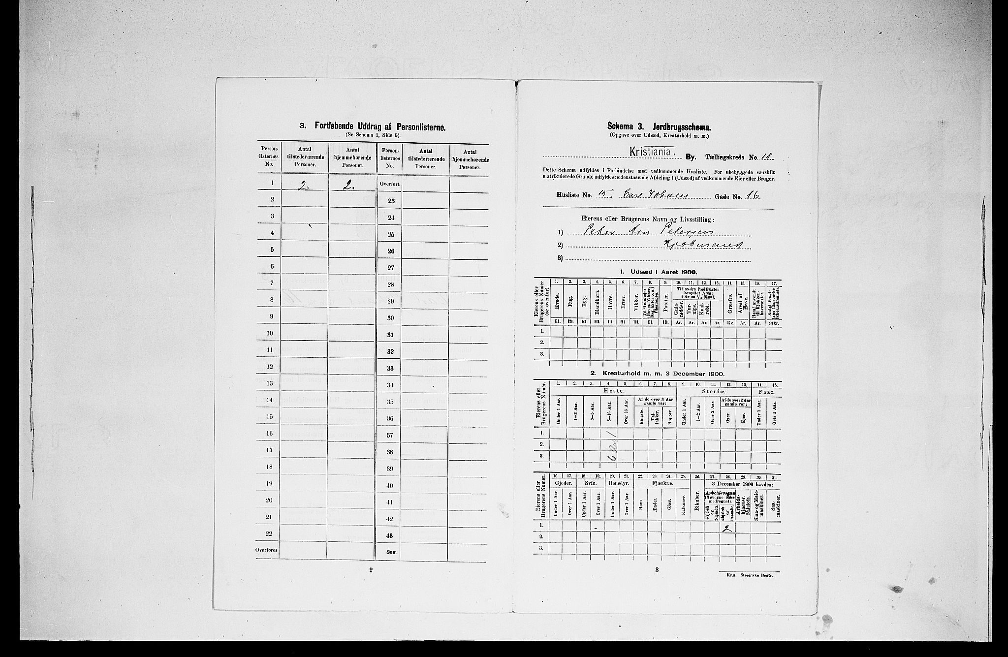 SAO, Folketelling 1900 for 0301 Kristiania kjøpstad, 1900, s. 11403