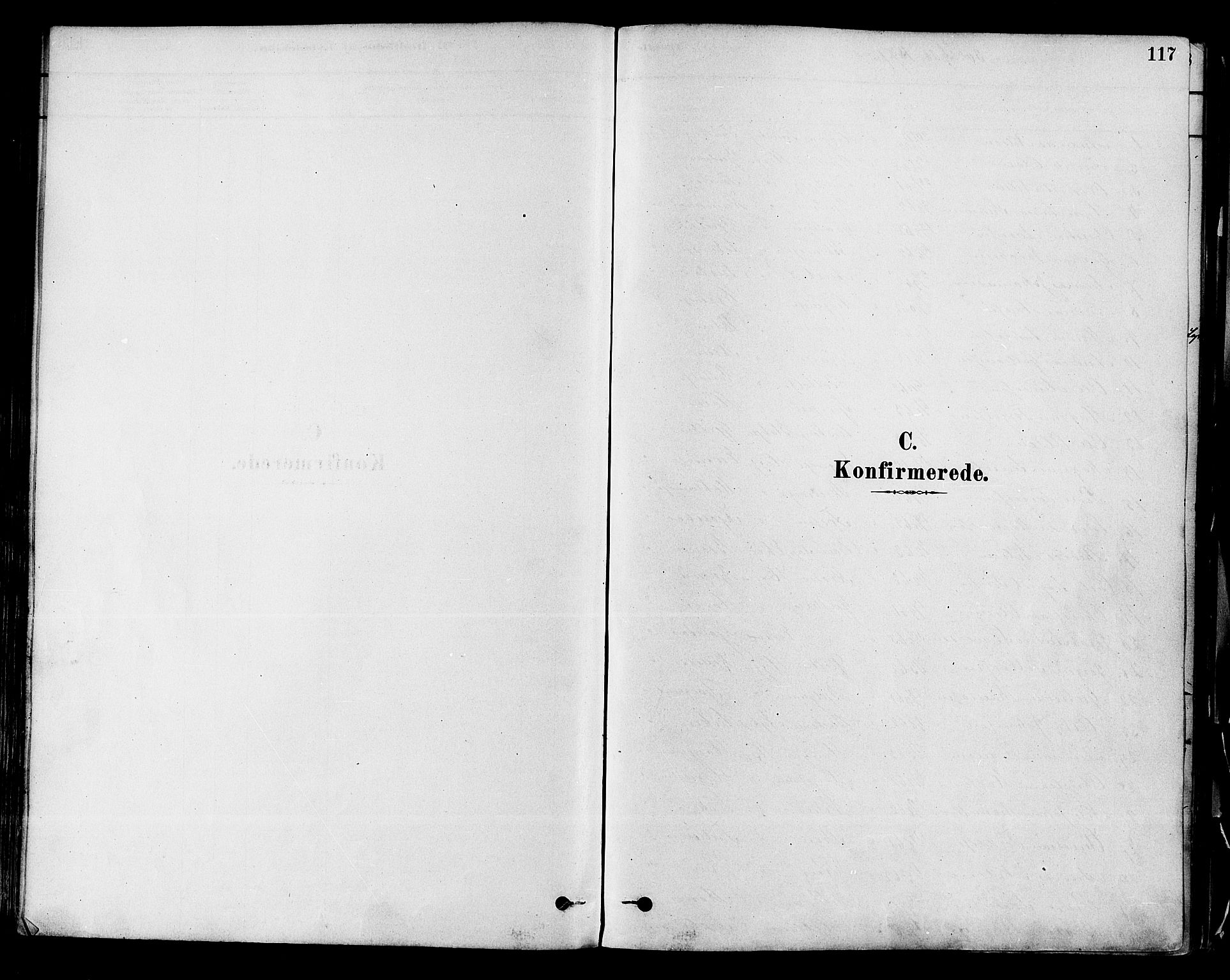 Modum kirkebøker, SAKO/A-234/F/Fa/L0011: Ministerialbok nr. 11, 1877-1889, s. 117