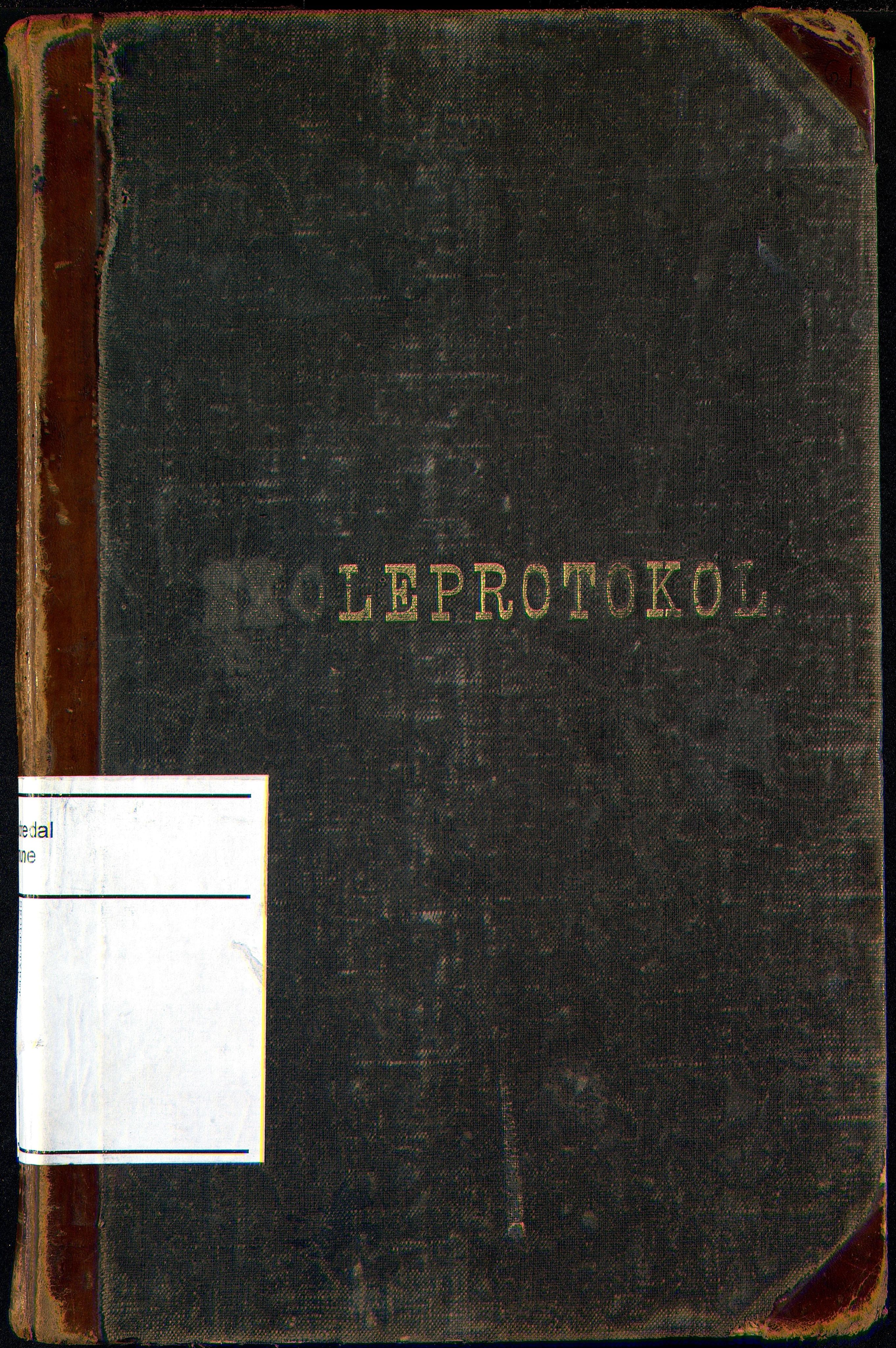 Sør-Audnedal kommune - Foss Skole, ARKSOR/1029SØ553/G/L0001: Skoleprotokoll, 1894-1908