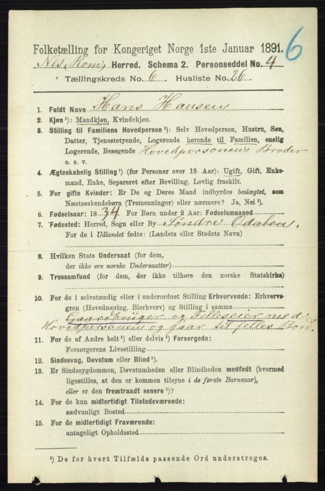 RA, Folketelling 1891 for 0236 Nes herred, 1891, s. 3538