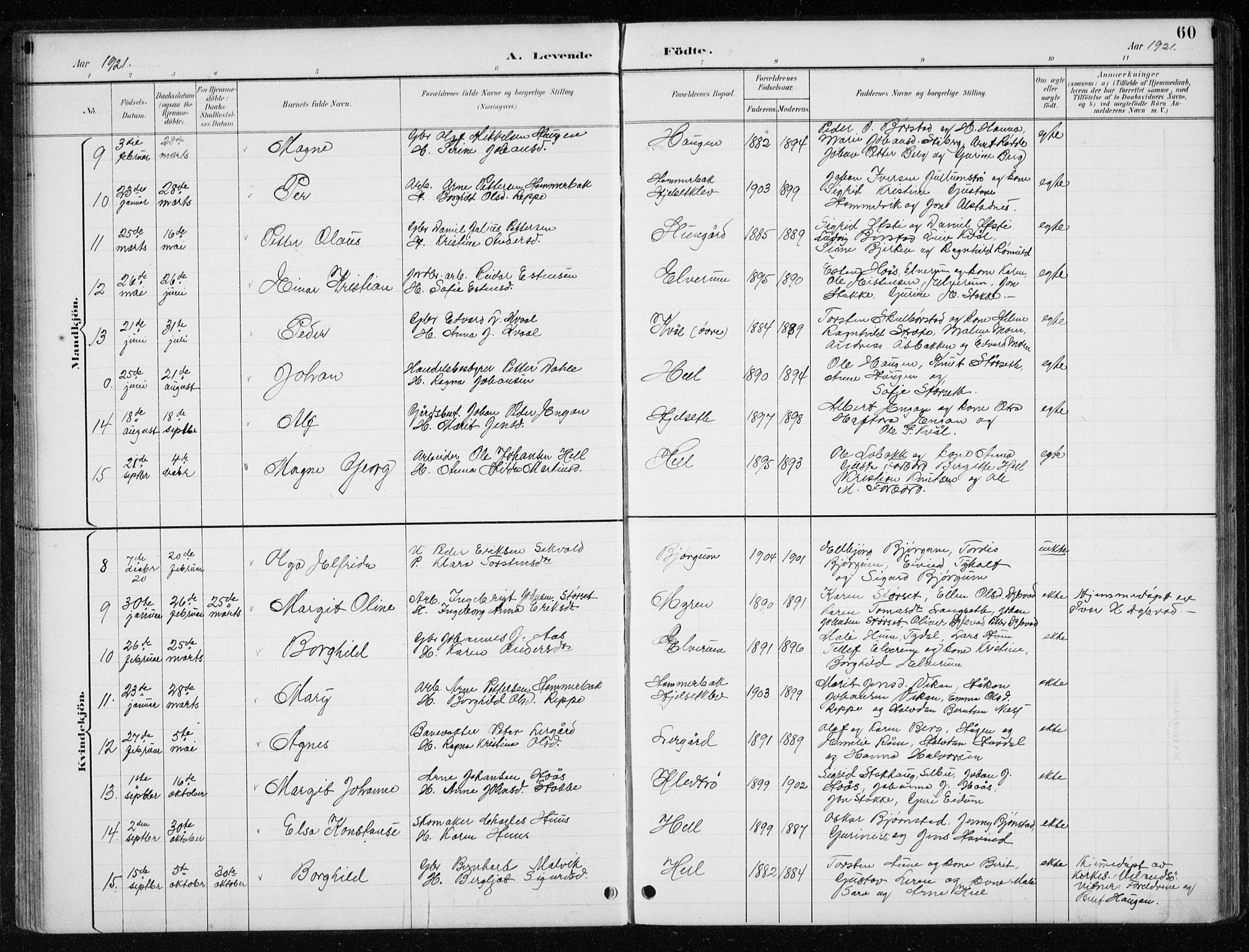 Ministerialprotokoller, klokkerbøker og fødselsregistre - Nord-Trøndelag, AV/SAT-A-1458/710/L0096: Klokkerbok nr. 710C01, 1892-1925, s. 60