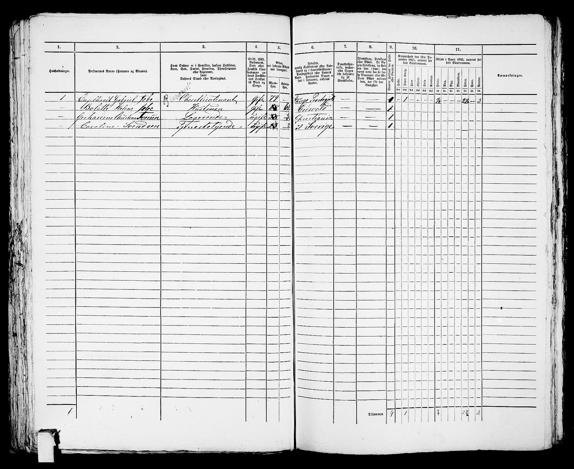 RA, Folketelling 1865 for 0805P Porsgrunn prestegjeld, 1865, s. 537