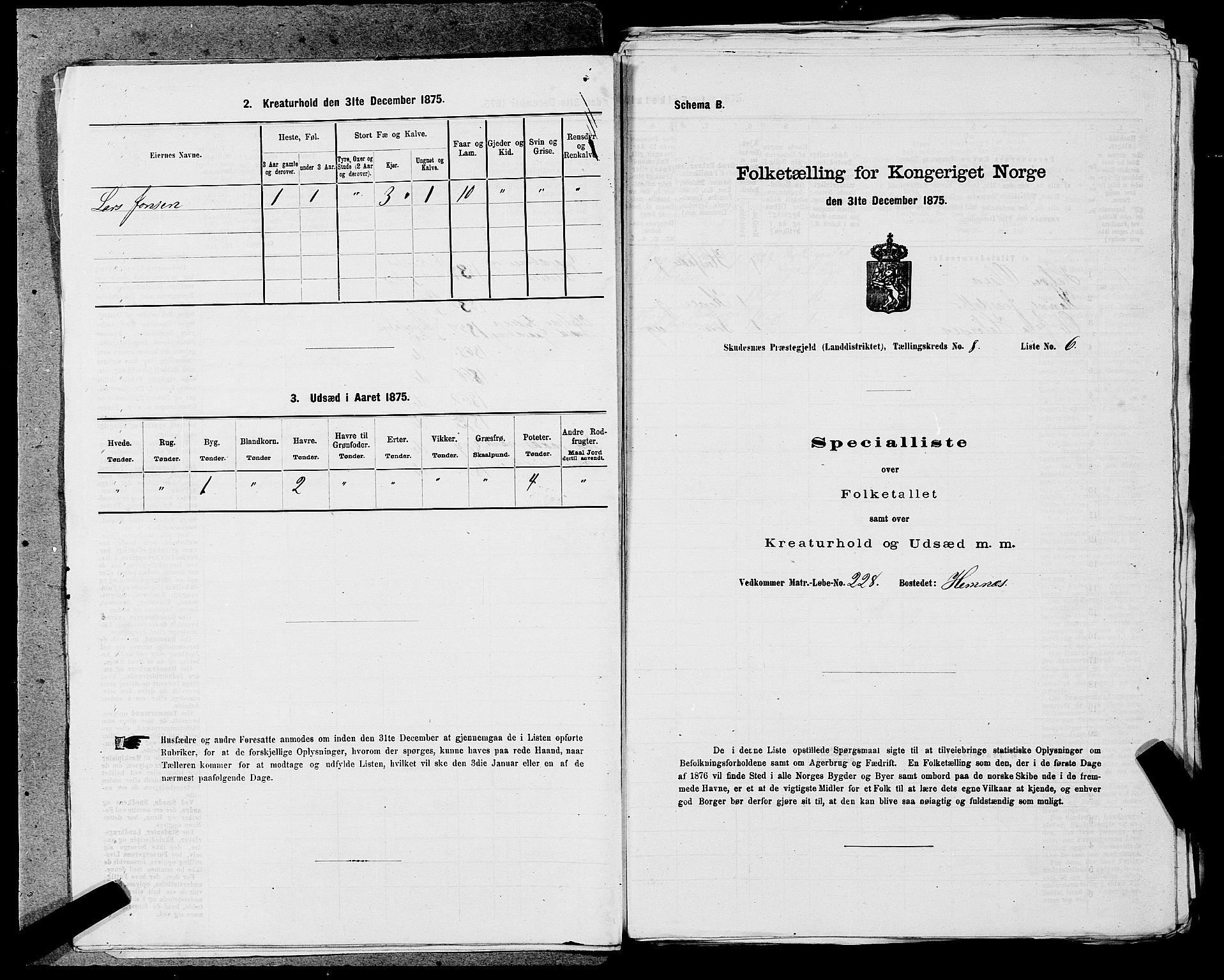 SAST, Folketelling 1875 for 1150L Skudenes prestegjeld, Falnes sokn, Åkra sokn og Ferkingstad sokn, 1875, s. 1061