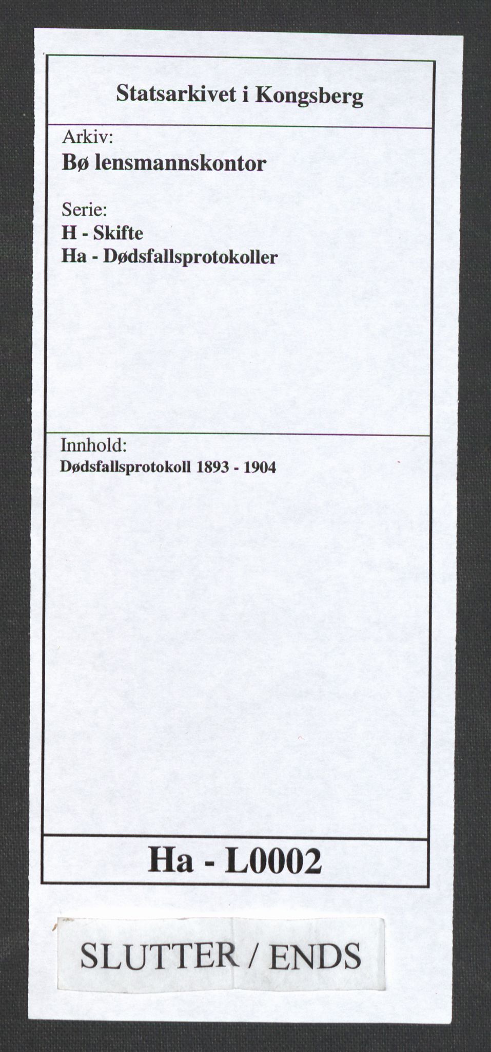 Bø lensmannskontor, AV/SAKO-A-553/H/Ha/L0002: Dødsfallsprotokoll, 1893-1904