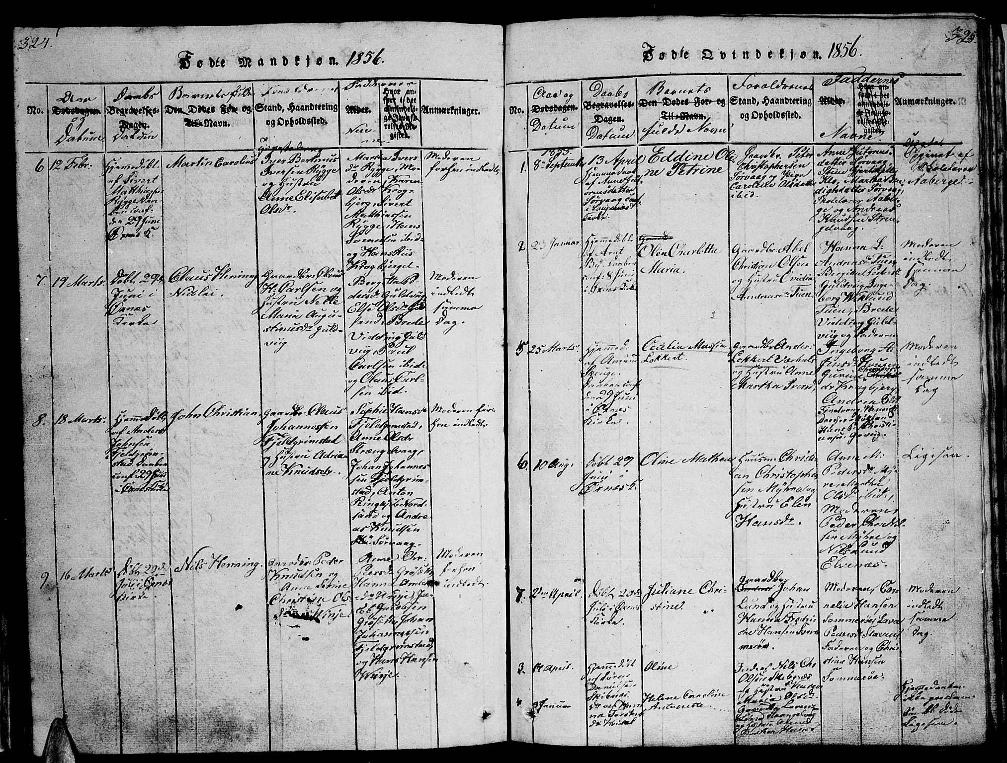 Ministerialprotokoller, klokkerbøker og fødselsregistre - Nordland, AV/SAT-A-1459/893/L1346: Klokkerbok nr. 893C01, 1820-1858, s. 324-325