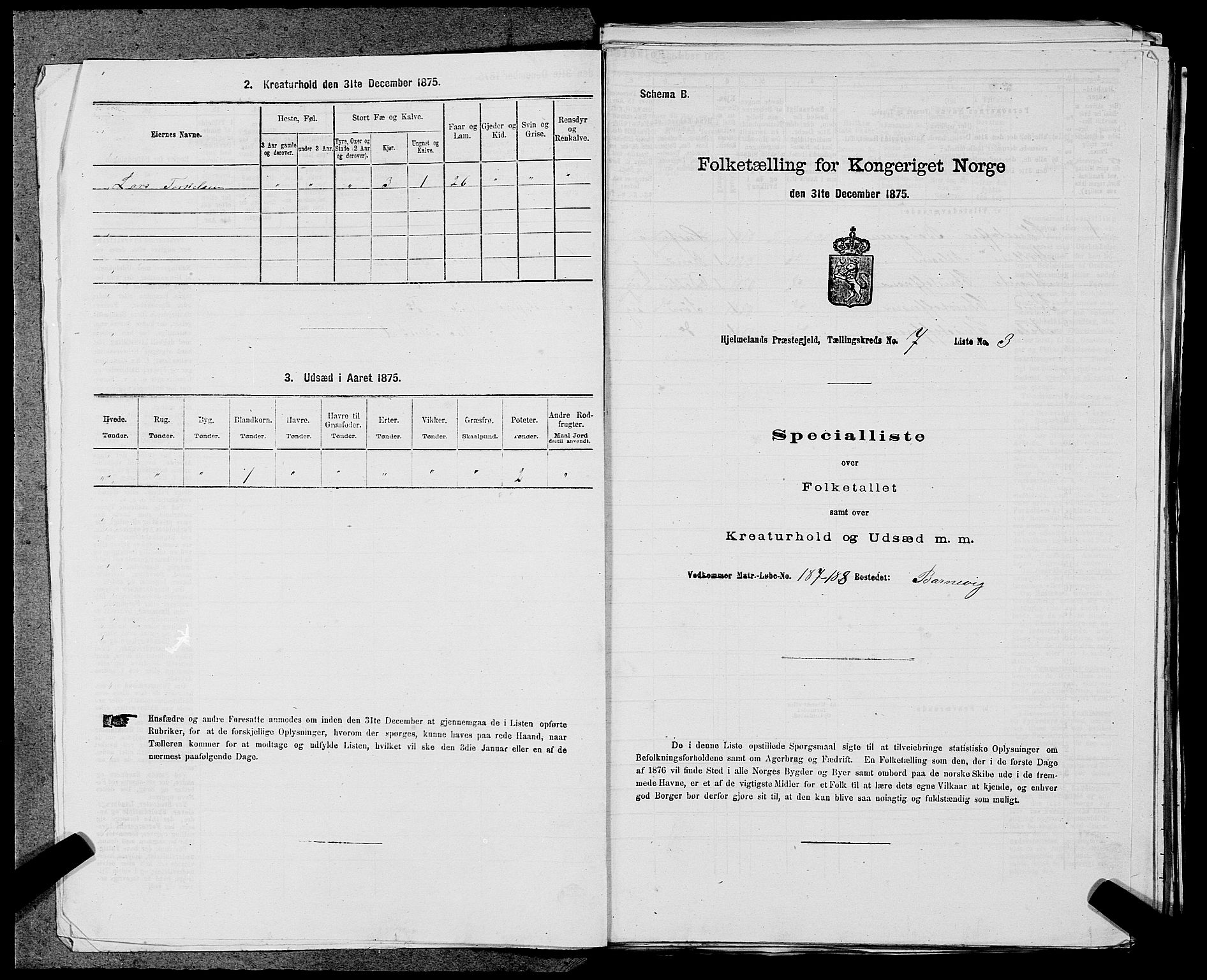 SAST, Folketelling 1875 for 1133P Hjelmeland prestegjeld, 1875, s. 907