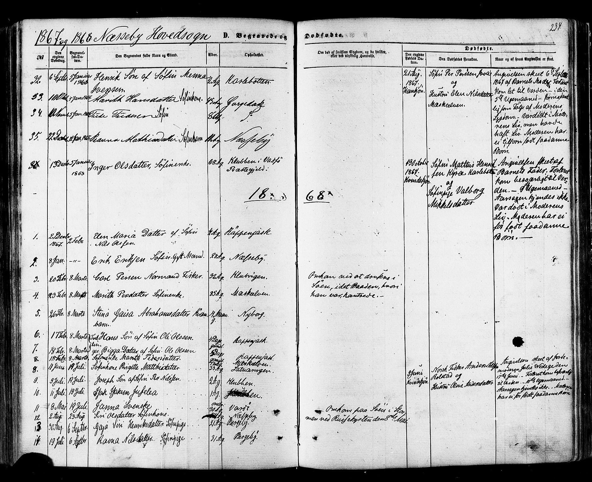 Nesseby sokneprestkontor, AV/SATØ-S-1330/H/Ha/L0003kirke: Ministerialbok nr. 3 /1, 1865-1876, s. 234