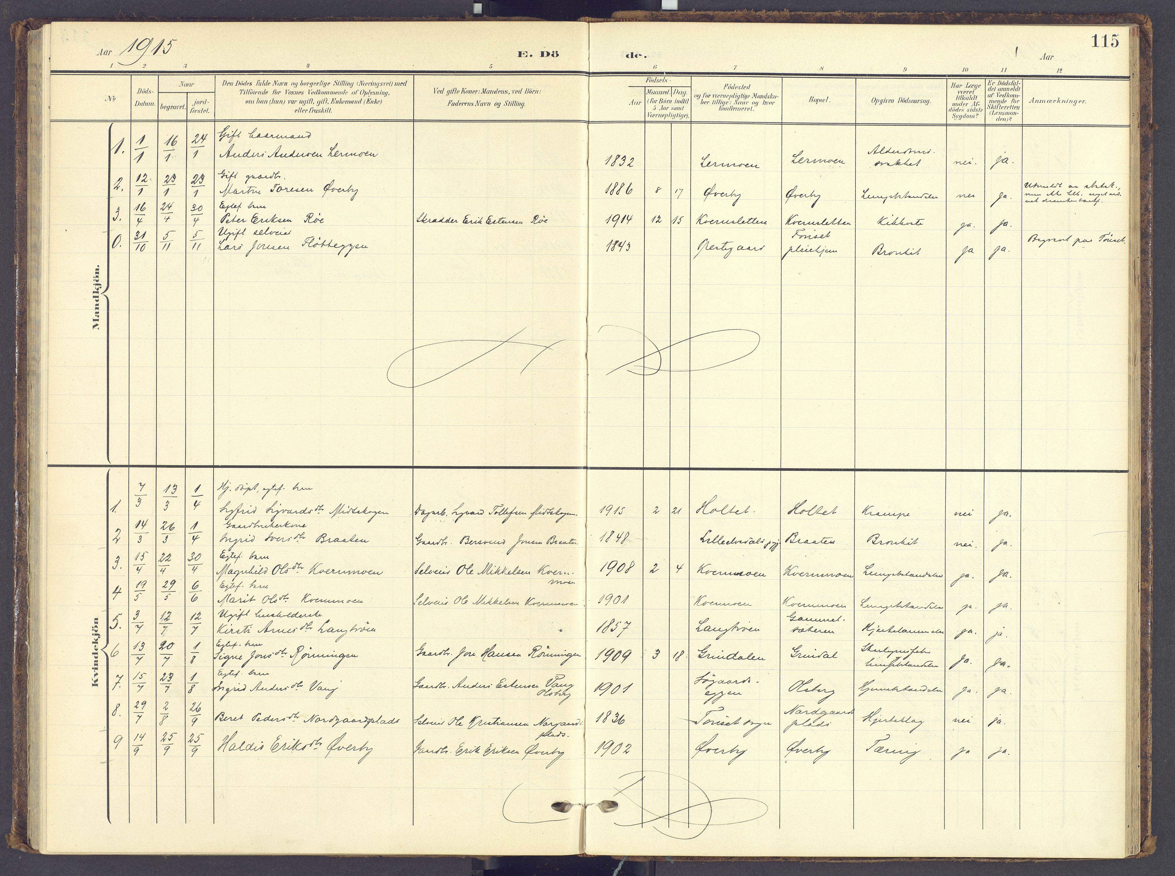 Tynset prestekontor, AV/SAH-PREST-058/H/Ha/Haa/L0028: Ministerialbok nr. 28, 1902-1929, s. 115