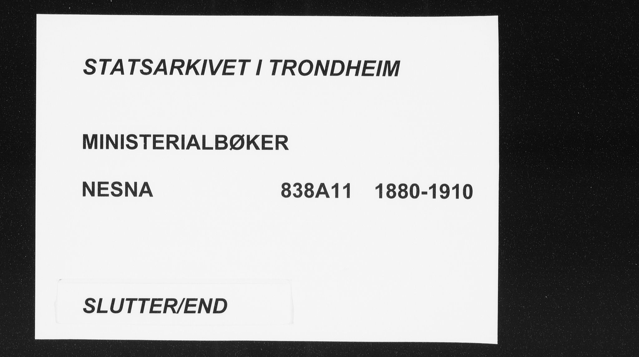 Ministerialprotokoller, klokkerbøker og fødselsregistre - Nordland, AV/SAT-A-1459/838/L0553: Ministerialbok nr. 838A11, 1880-1910