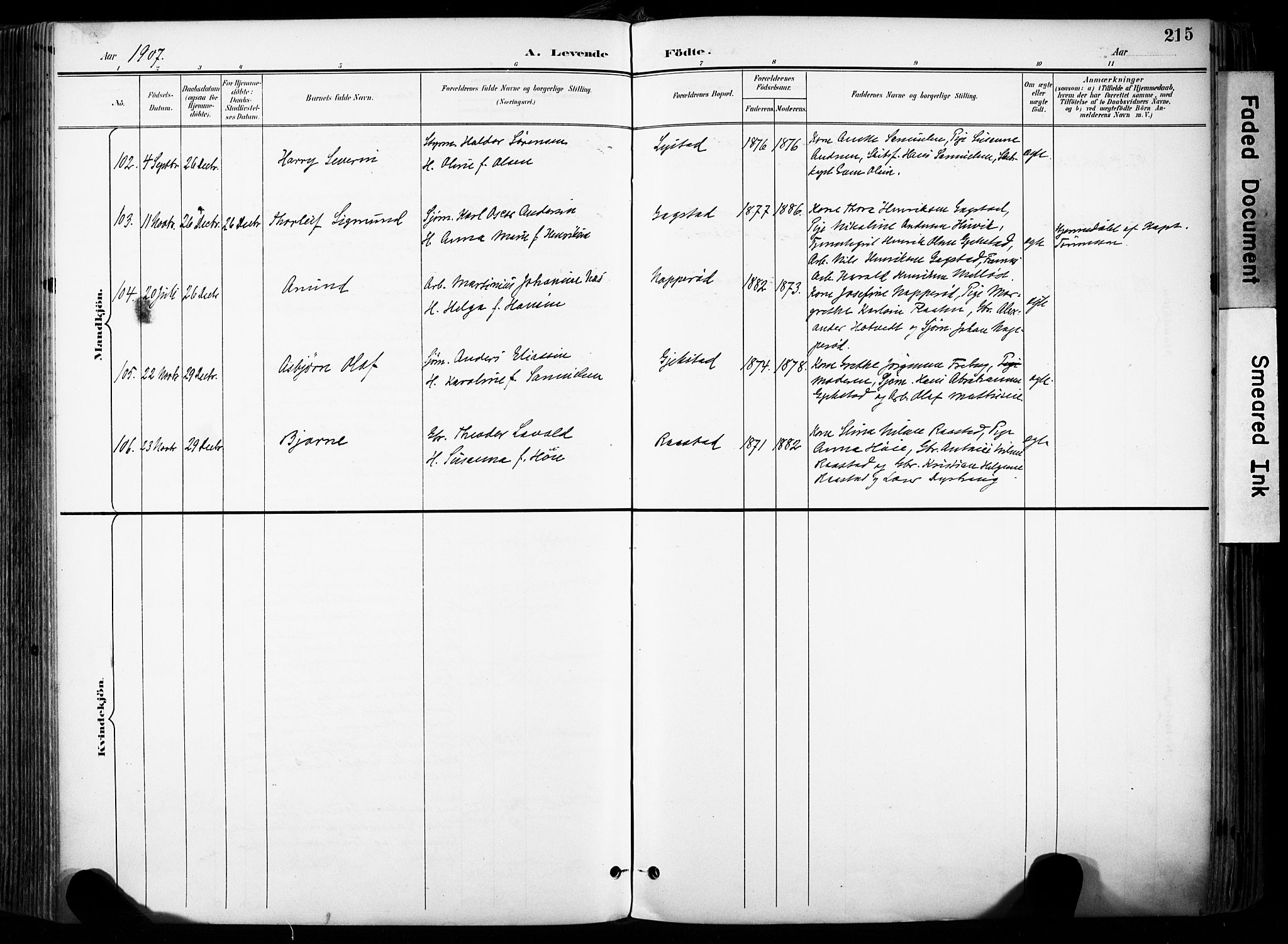 Sandar kirkebøker, AV/SAKO-A-243/F/Fa/L0014: Ministerialbok nr. 14, 1896-1909, s. 215