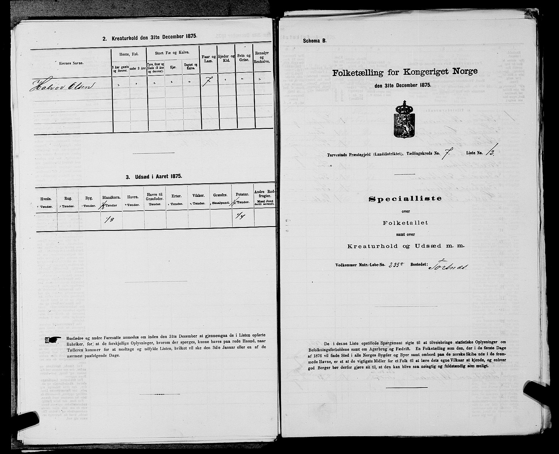 SAST, Folketelling 1875 for 1152L Torvastad prestegjeld, Torvastad sokn, Skåre sokn og Utsira sokn, 1875, s. 919