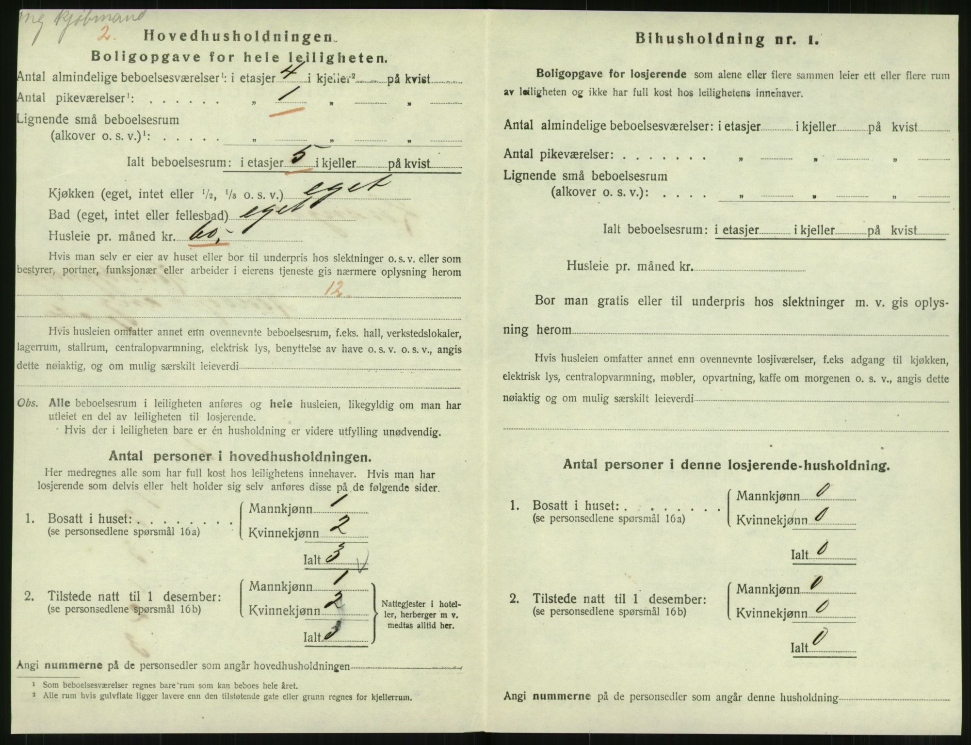 SAT, Folketelling 1920 for 1701 Levanger kjøpstad, 1920, s. 551