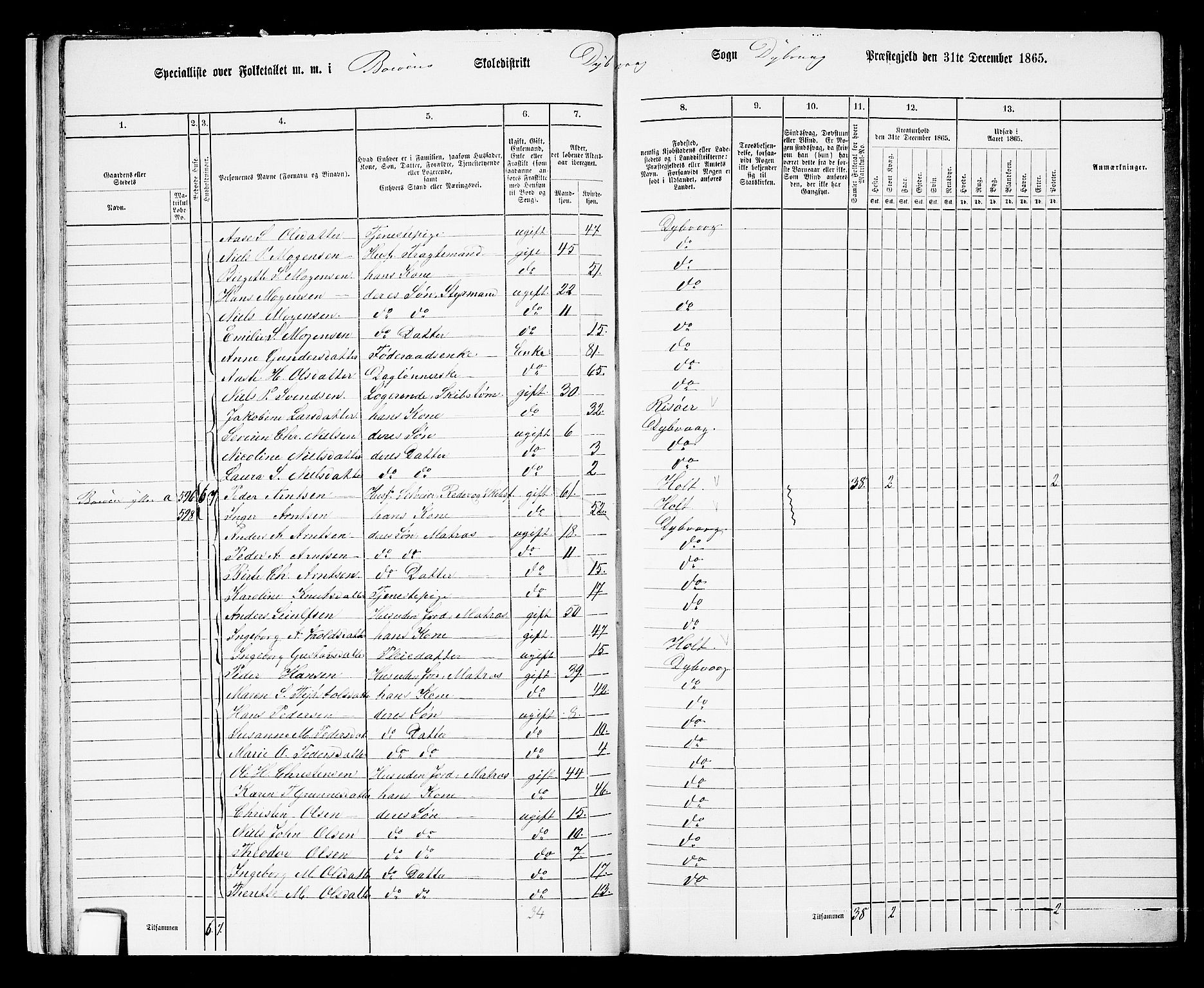 RA, Folketelling 1865 for 0915P Dypvåg prestegjeld, 1865, s. 19