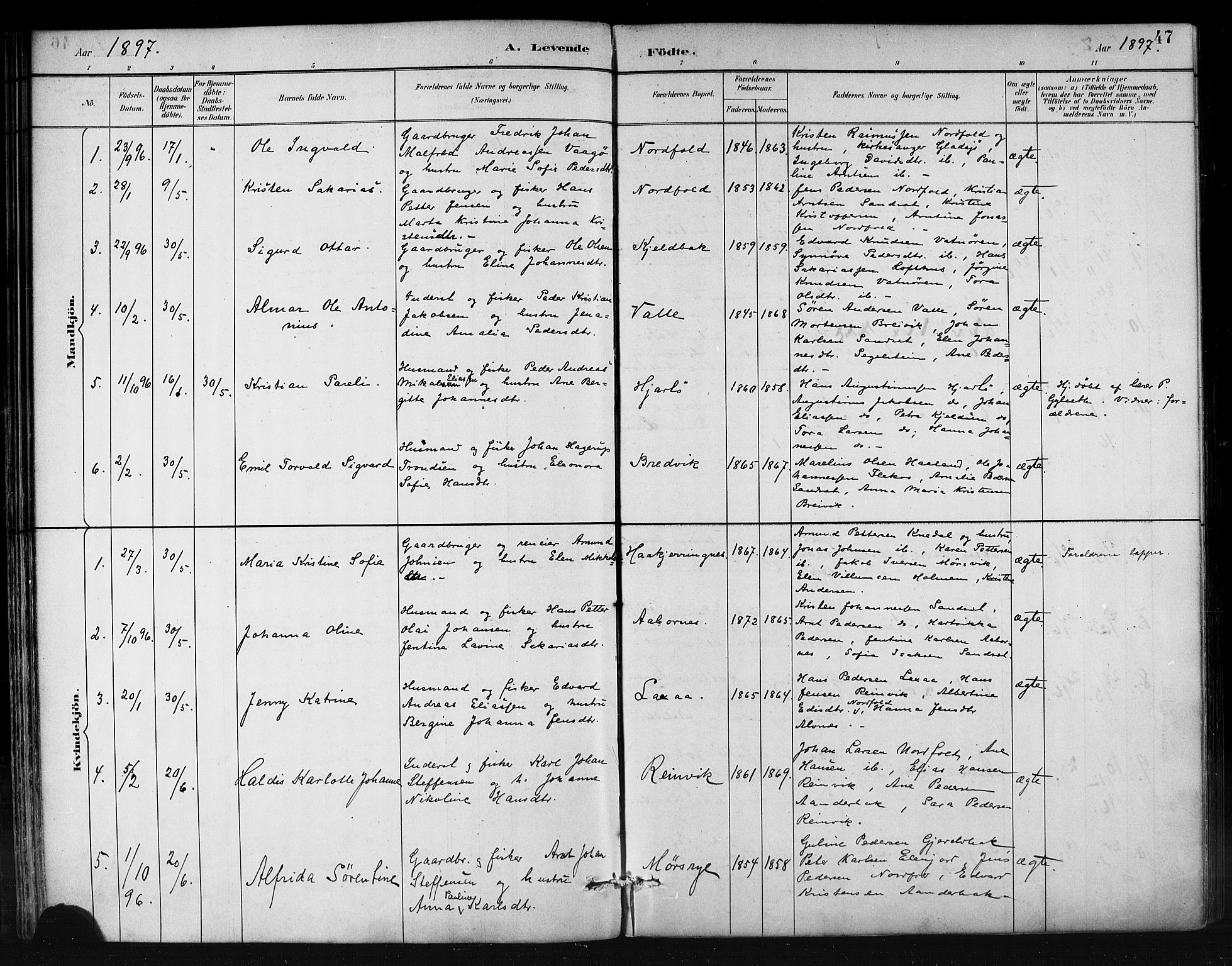 Ministerialprotokoller, klokkerbøker og fødselsregistre - Nordland, AV/SAT-A-1459/858/L0831: Ministerialbok nr. 858A01, 1884-1902, s. 47