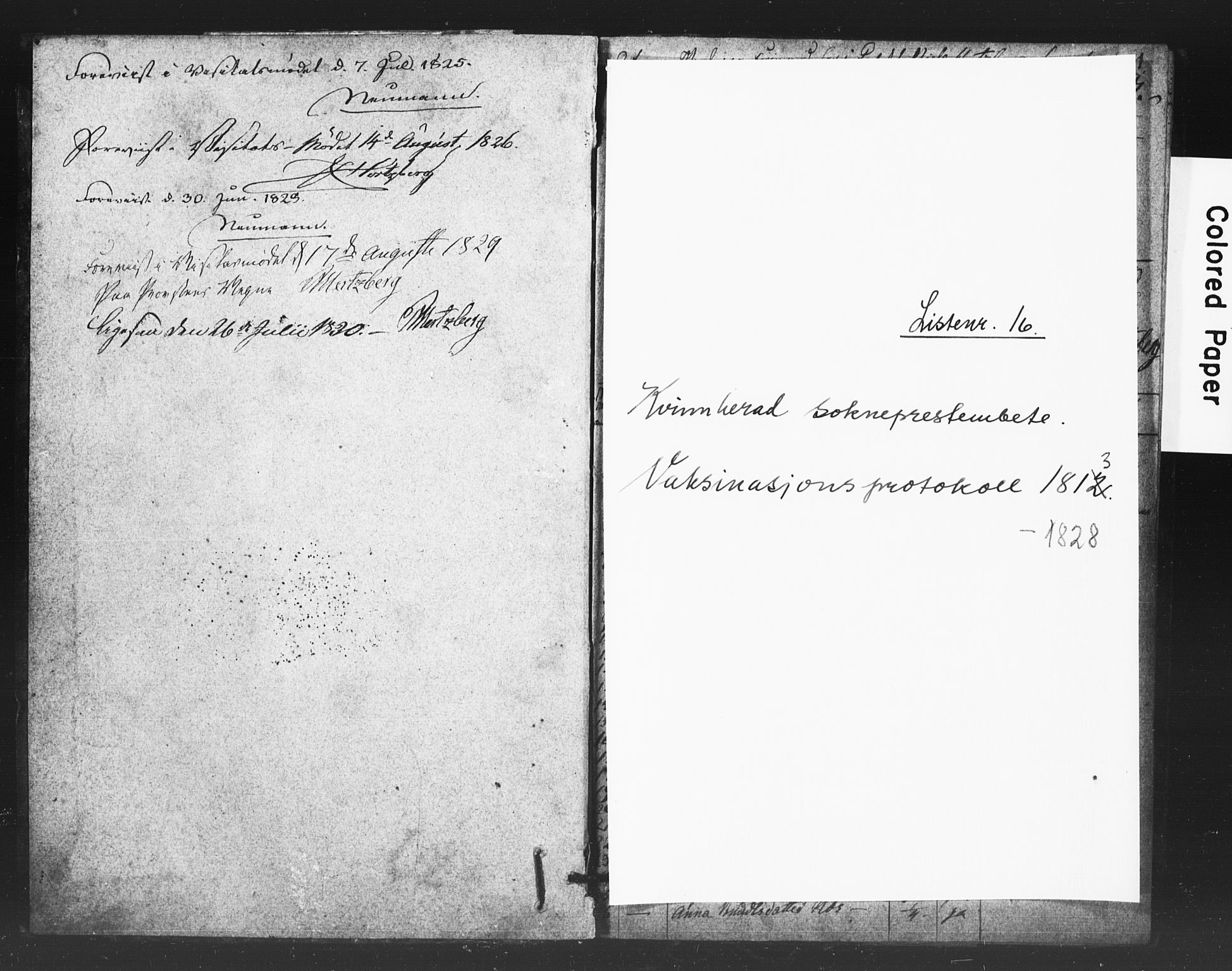 Kvinnherad sokneprestembete, SAB/A-76401/H/Haa: Ministerialbok nr. A 11, 1813-1828
