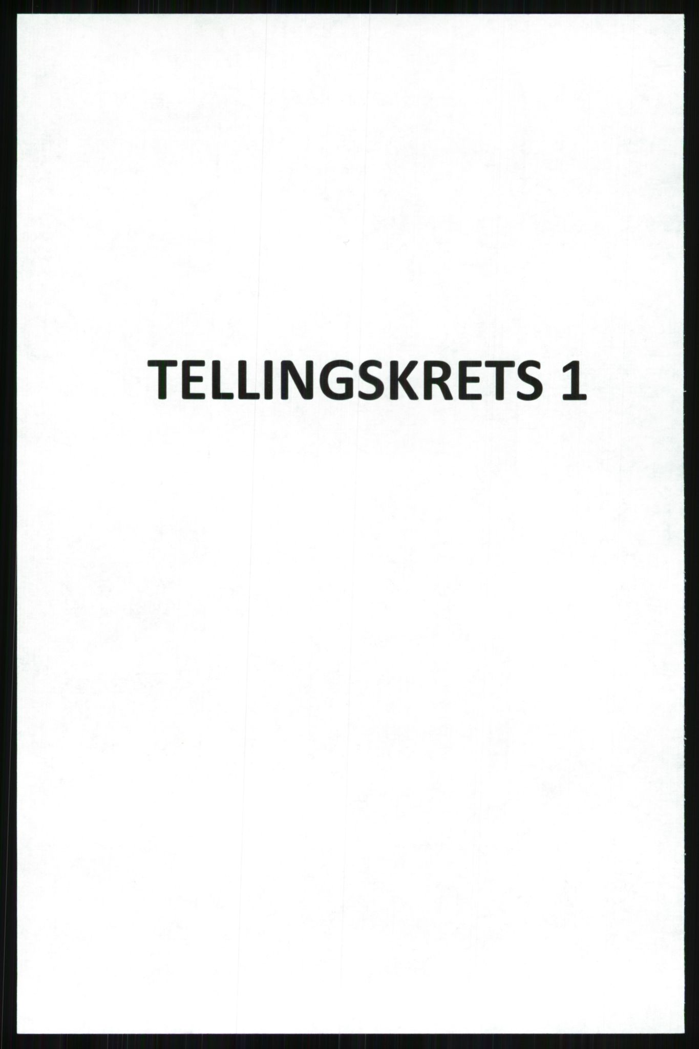 SATØ, Folketelling 1920 for 1929 Berg herred, 1920, s. 463