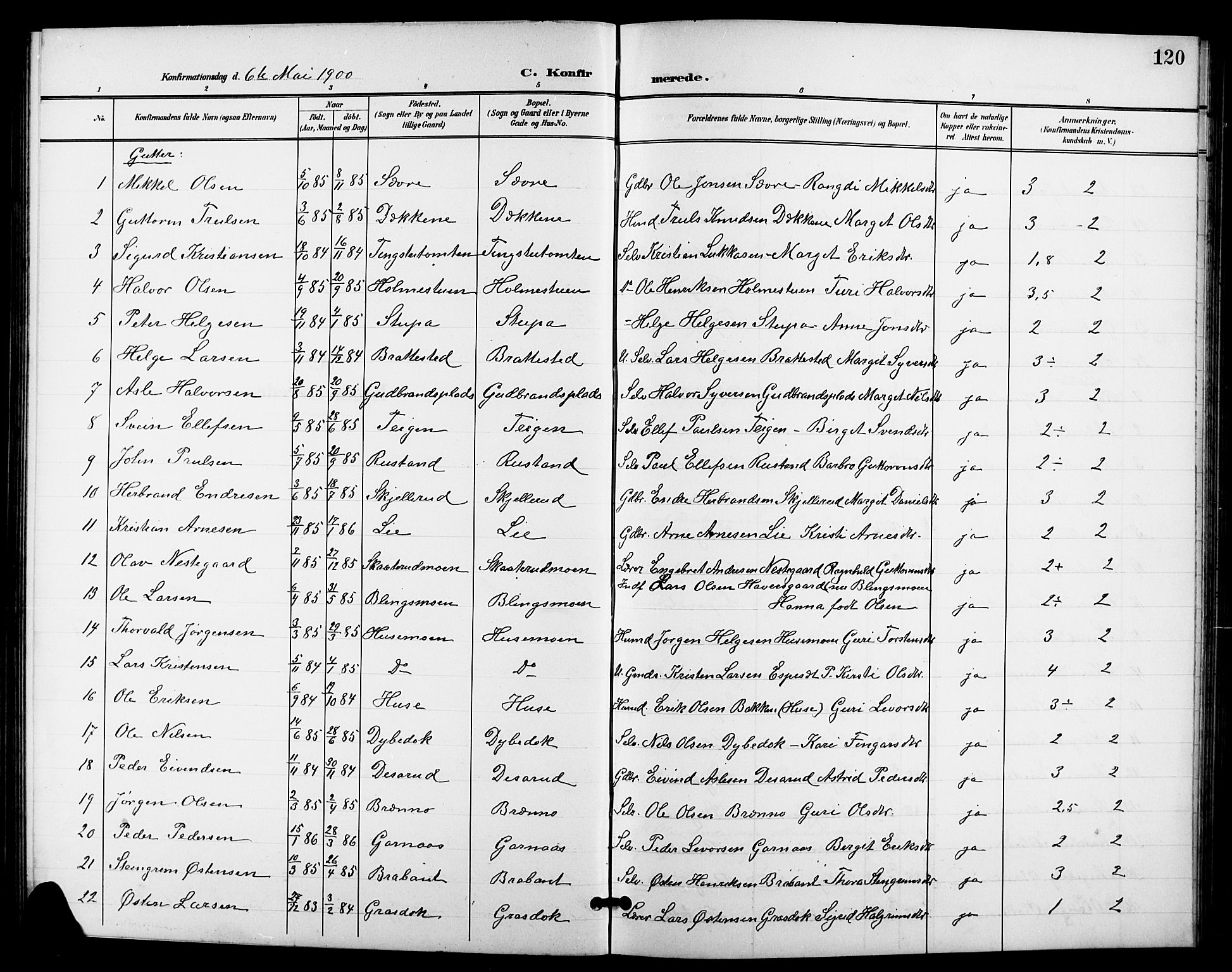 Nes kirkebøker, AV/SAKO-A-236/G/Ga/L0004: Klokkerbok nr. I 4, 1900-1925, s. 120
