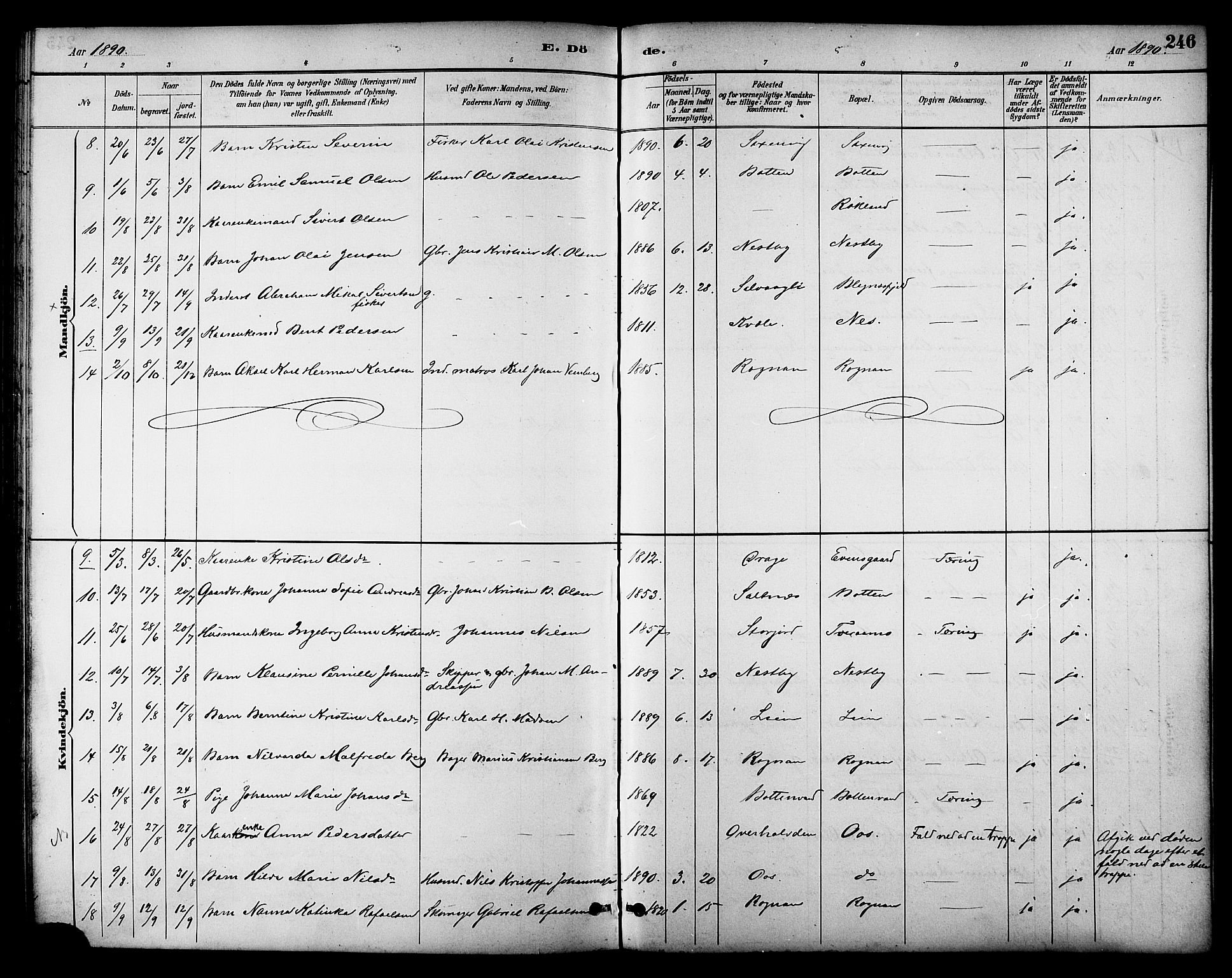 Ministerialprotokoller, klokkerbøker og fødselsregistre - Nordland, AV/SAT-A-1459/847/L0669: Ministerialbok nr. 847A09, 1887-1901, s. 246