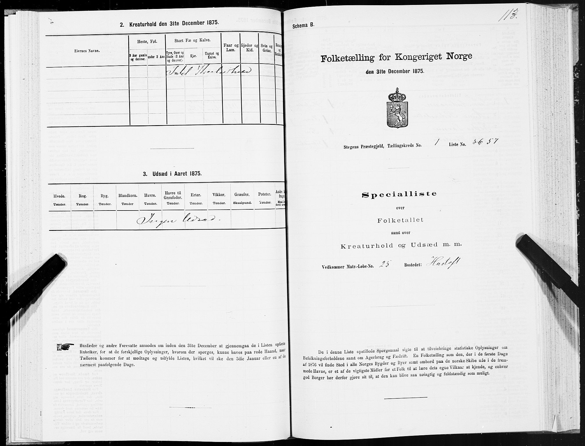 SAT, Folketelling 1875 for 1848P Steigen prestegjeld, 1875, s. 1113