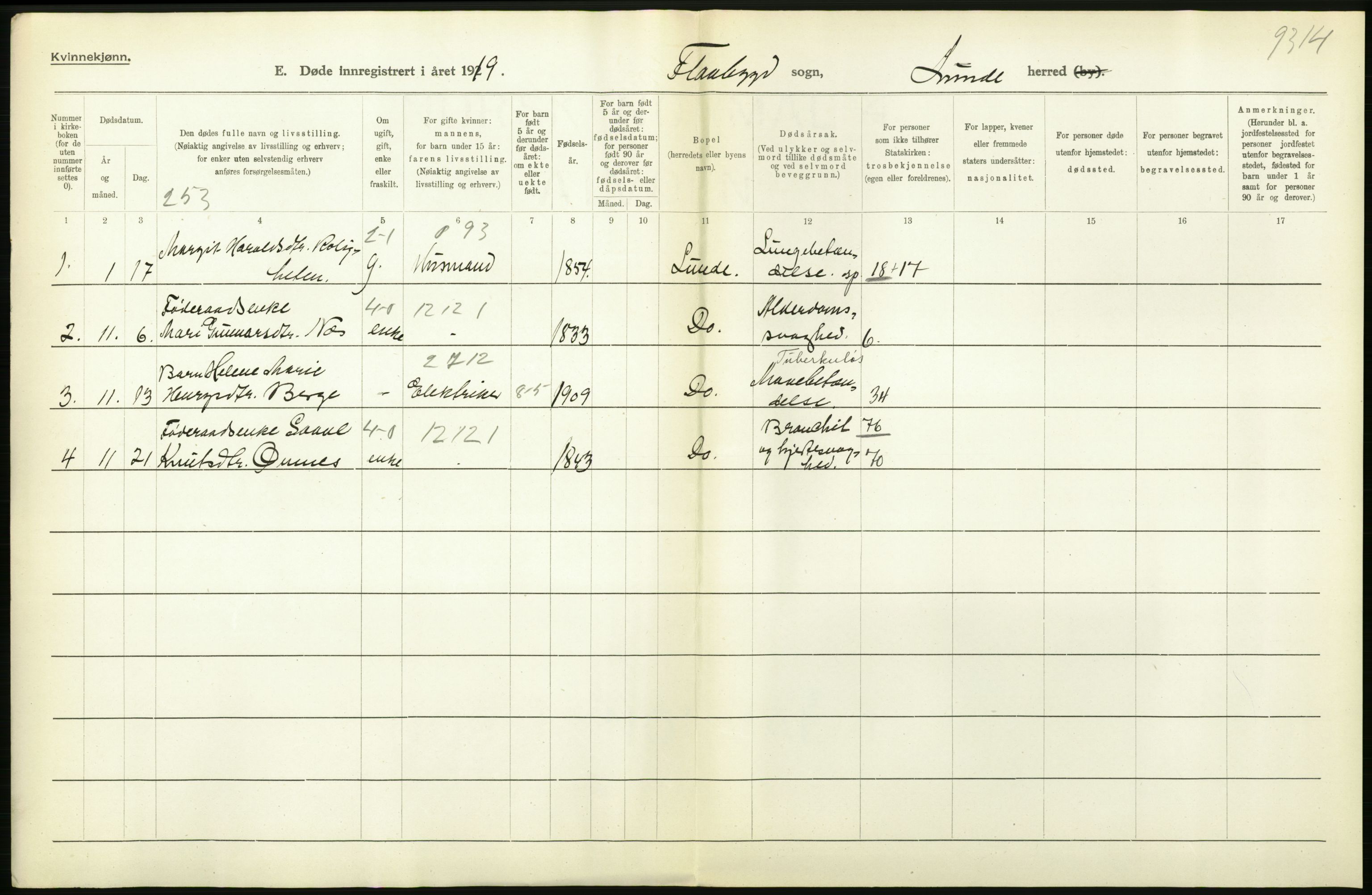 Statistisk sentralbyrå, Sosiodemografiske emner, Befolkning, AV/RA-S-2228/D/Df/Dfb/Dfbi/L0023: Telemark fylke: Døde. Bygder og byer., 1919, s. 260