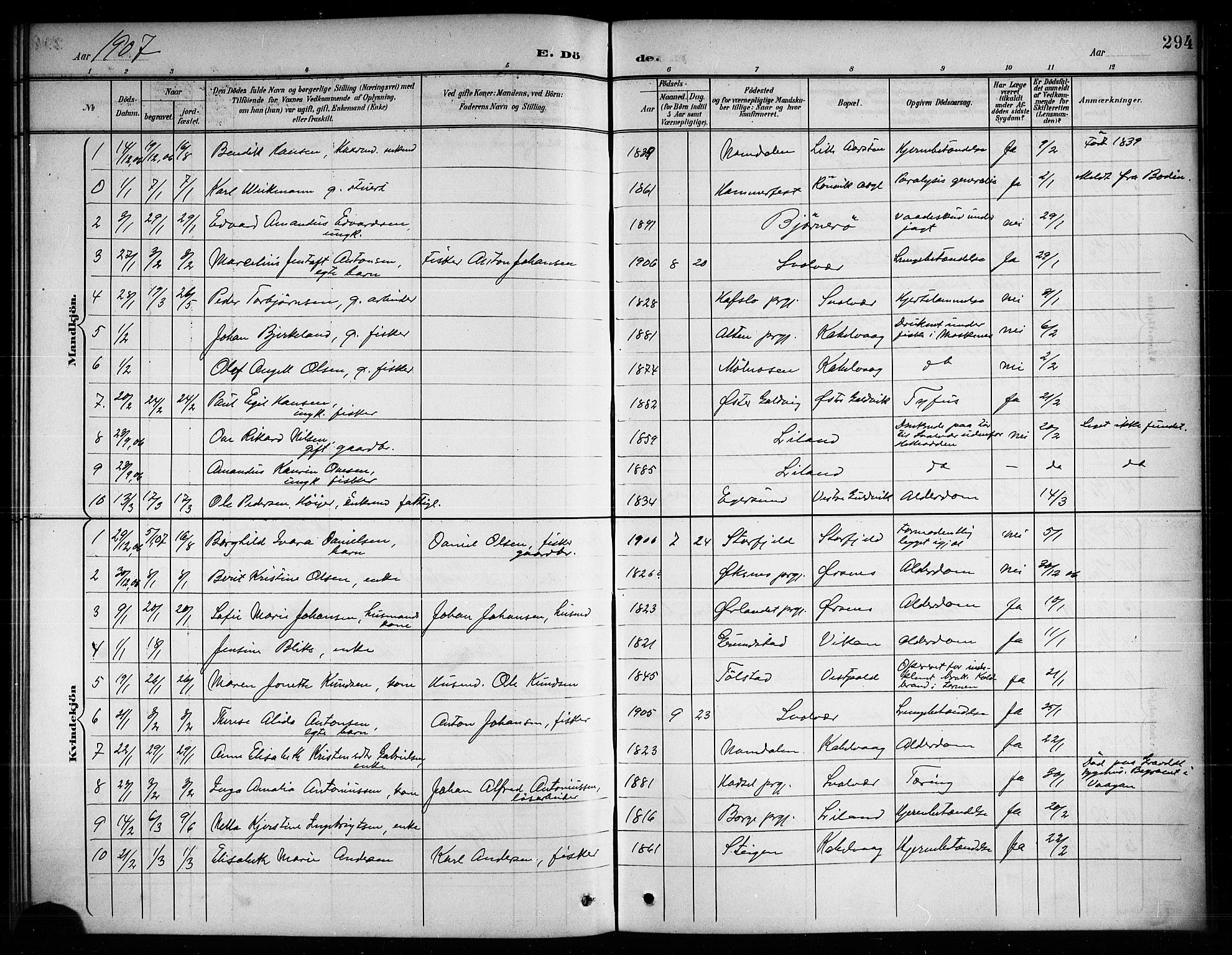 Ministerialprotokoller, klokkerbøker og fødselsregistre - Nordland, AV/SAT-A-1459/874/L1078: Klokkerbok nr. 874C07, 1900-1907, s. 294