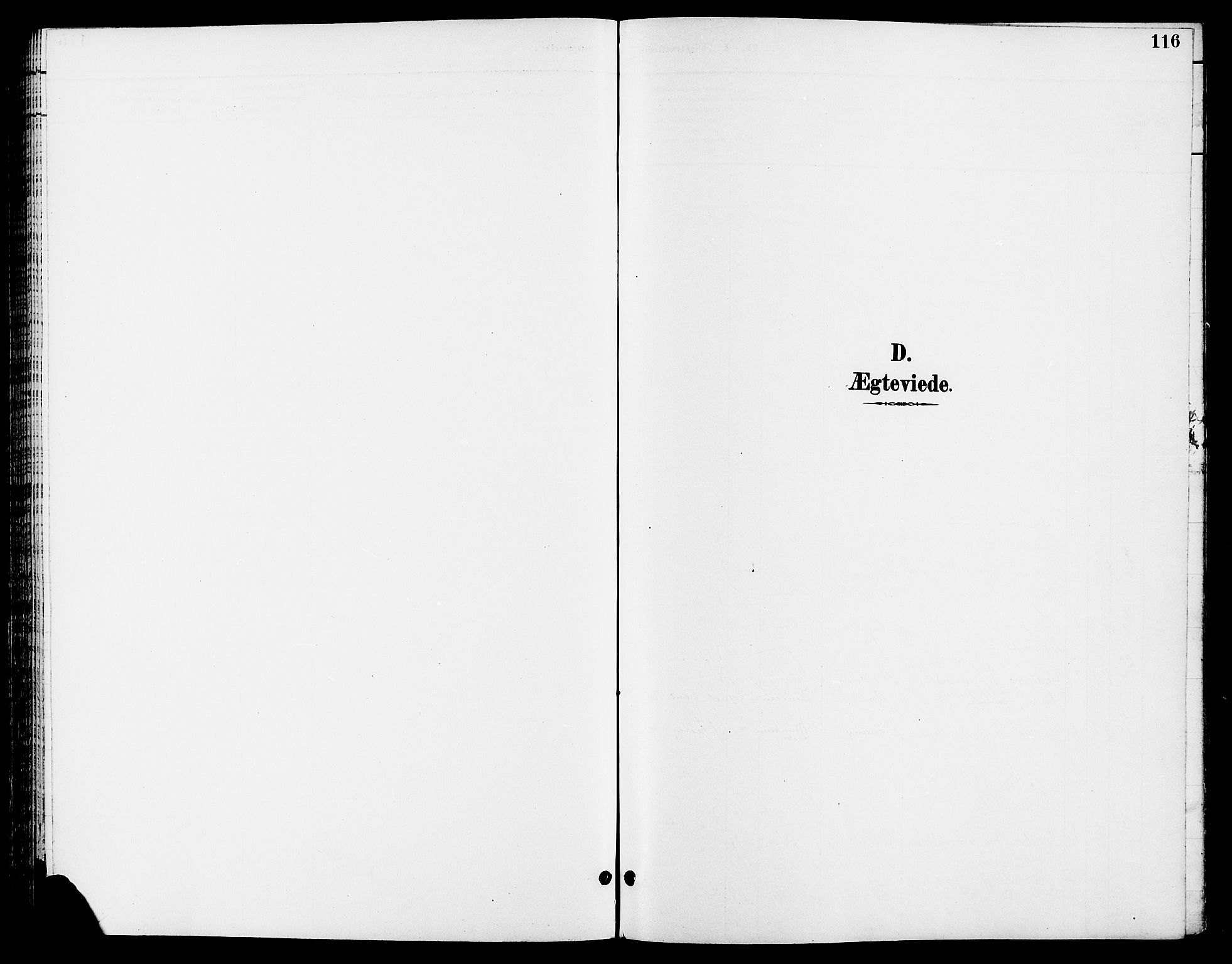 Ringsaker prestekontor, SAH/PREST-014/L/La/L0013: Klokkerbok nr. 13, 1891-1904, s. 116