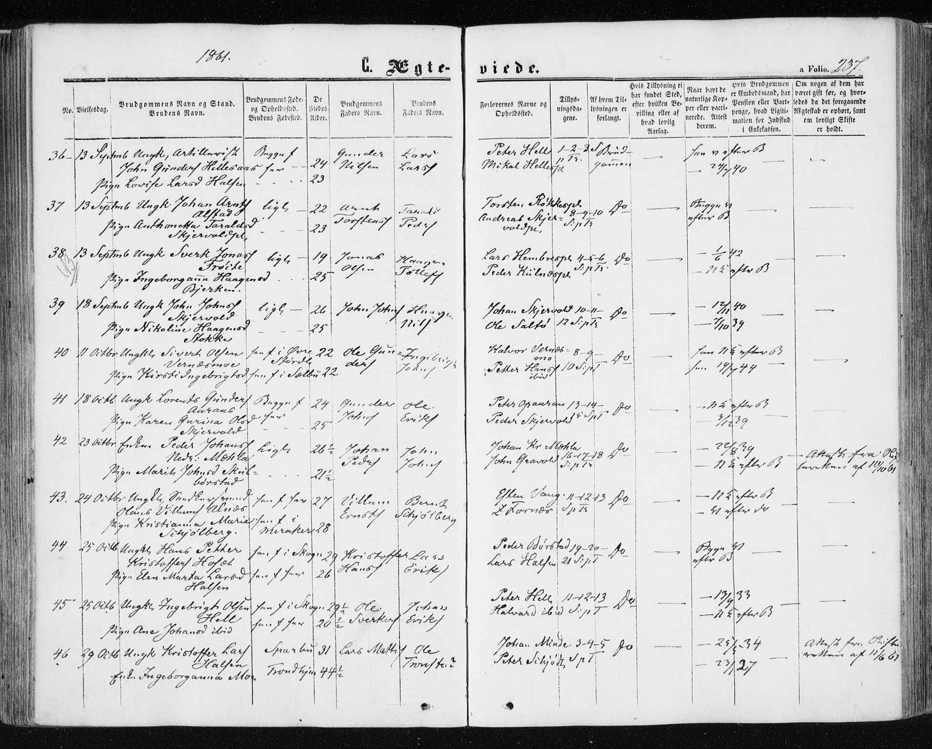 Ministerialprotokoller, klokkerbøker og fødselsregistre - Nord-Trøndelag, AV/SAT-A-1458/709/L0075: Ministerialbok nr. 709A15, 1859-1870, s. 237