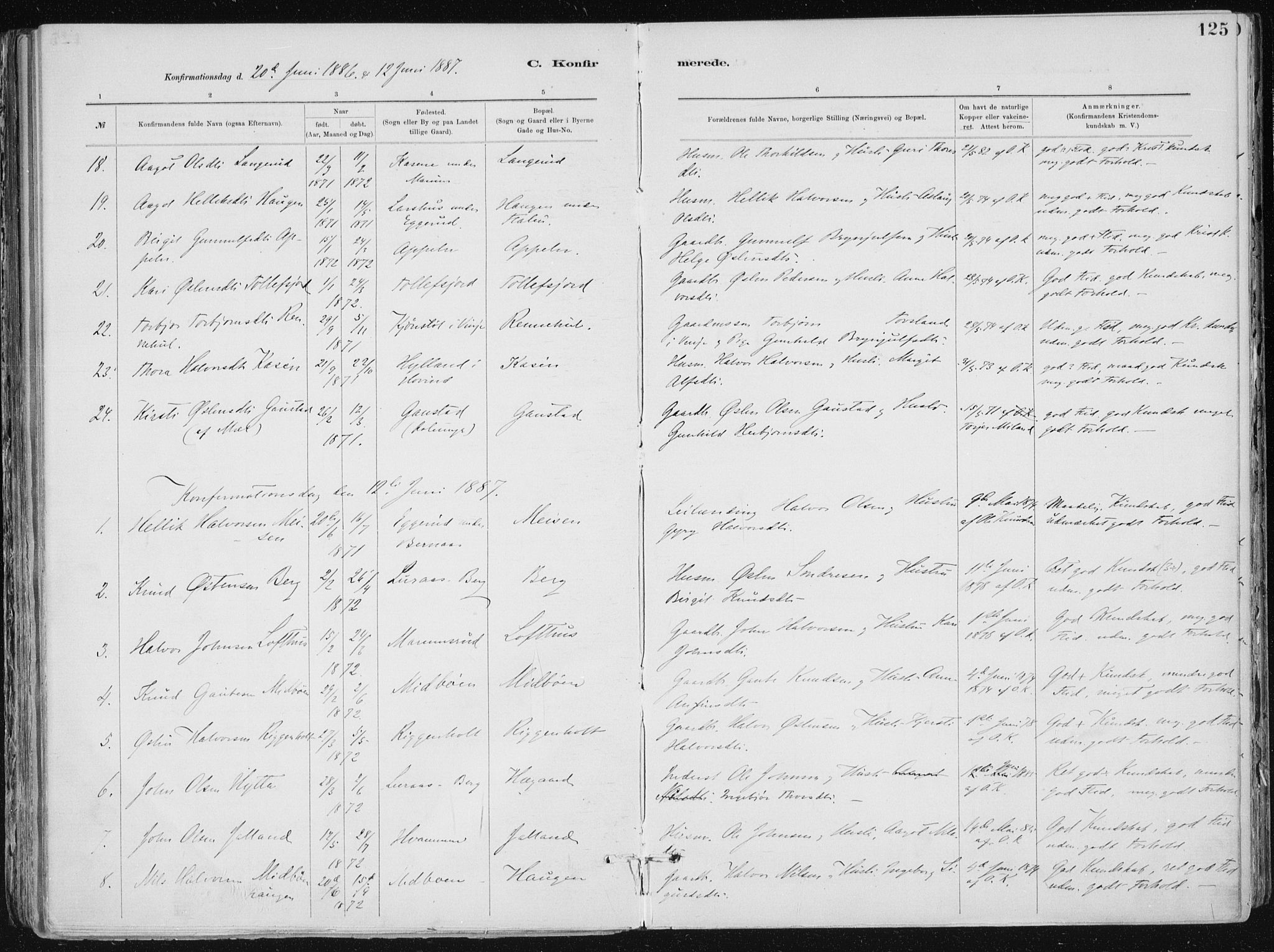 Tinn kirkebøker, AV/SAKO-A-308/F/Fa/L0007: Ministerialbok nr. I 7, 1878-1922, s. 125