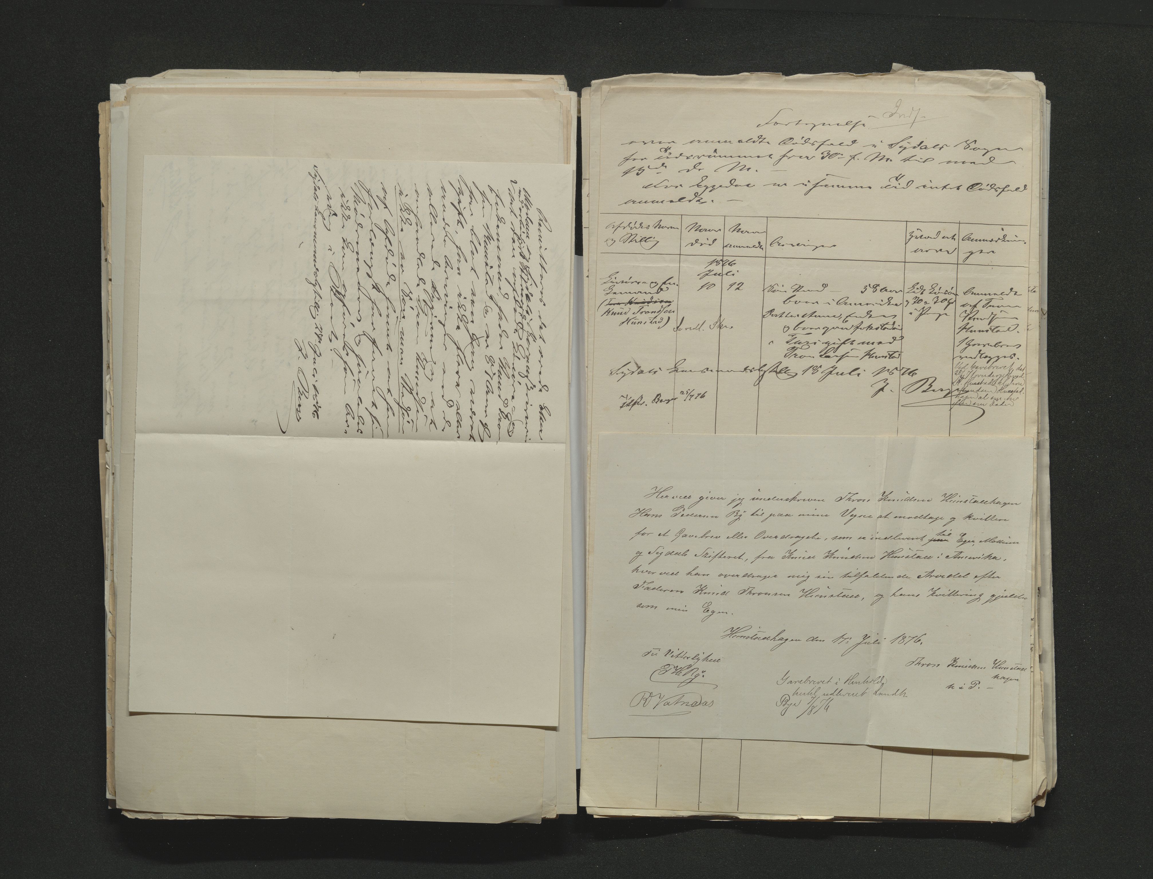 Eiker, Modum og Sigdal sorenskriveri, AV/SAKO-A-123/H/Ha/Hab/L0014: Dødsfallsmeldinger, 1874-1877, s. 482