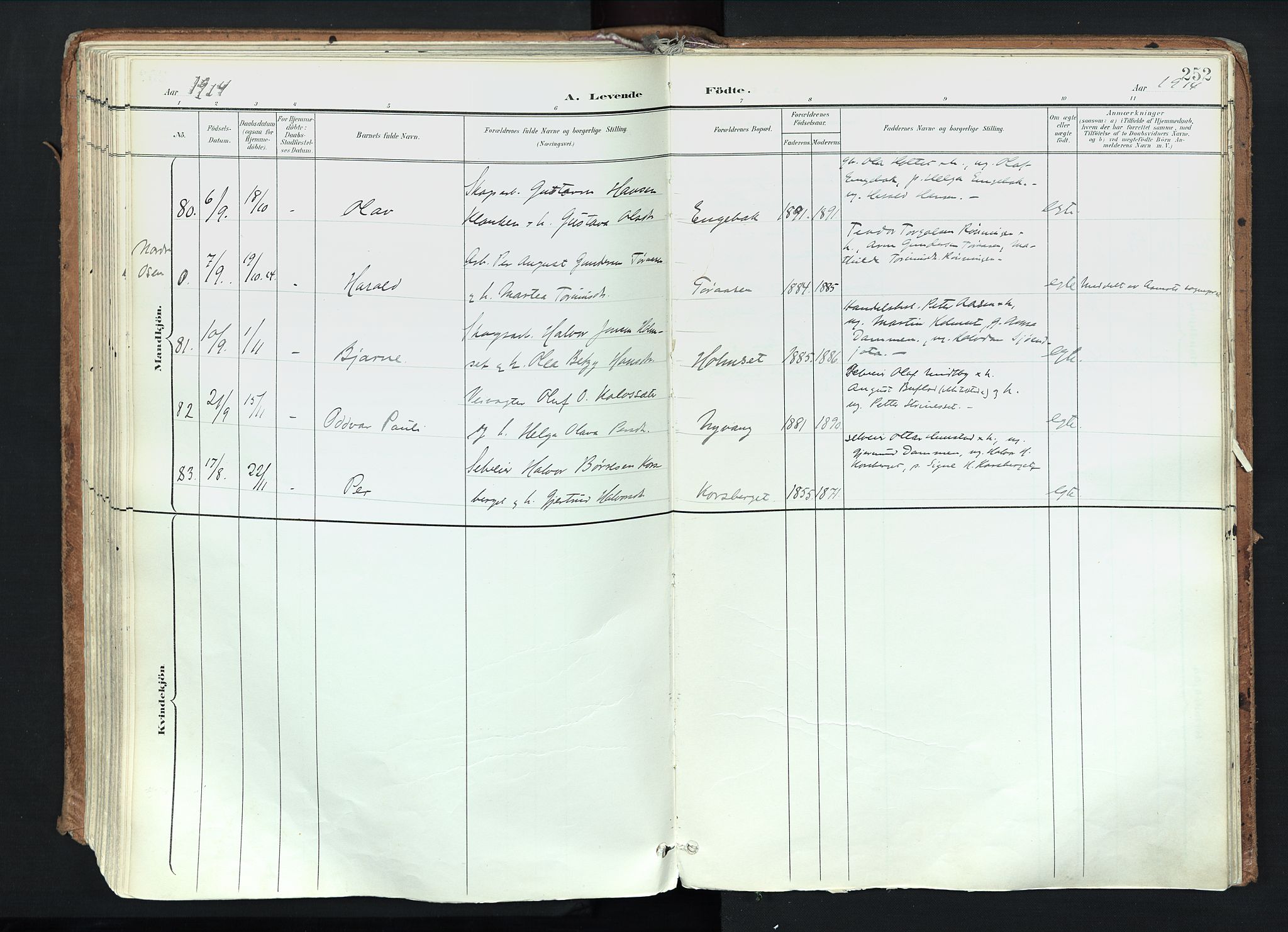 Trysil prestekontor, AV/SAH-PREST-046/H/Ha/Haa/L0012: Ministerialbok nr. 12, 1898-1917, s. 252