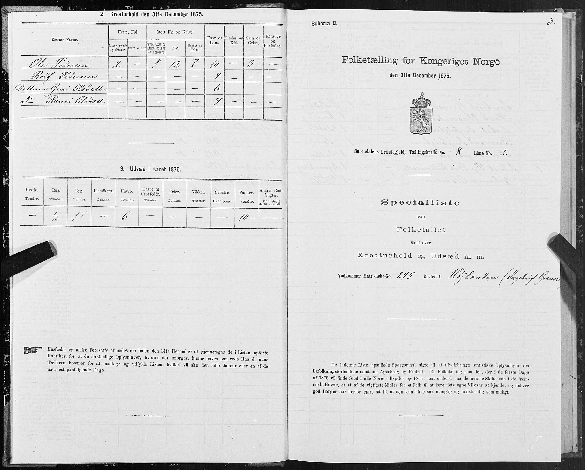 SAT, Folketelling 1875 for 1566P Surnadal prestegjeld, 1875, s. 4003