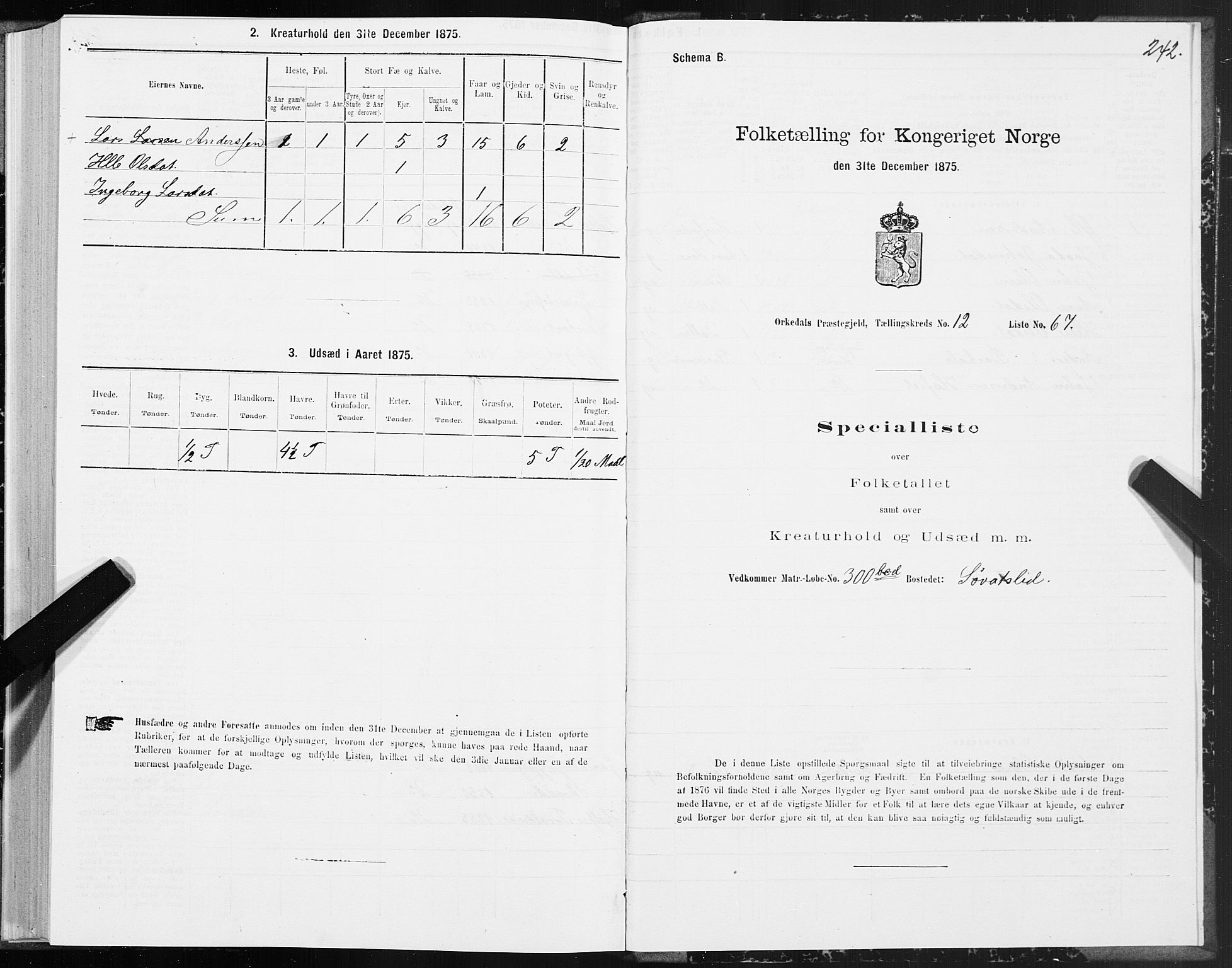 SAT, Folketelling 1875 for 1638P Orkdal prestegjeld, 1875, s. 6242