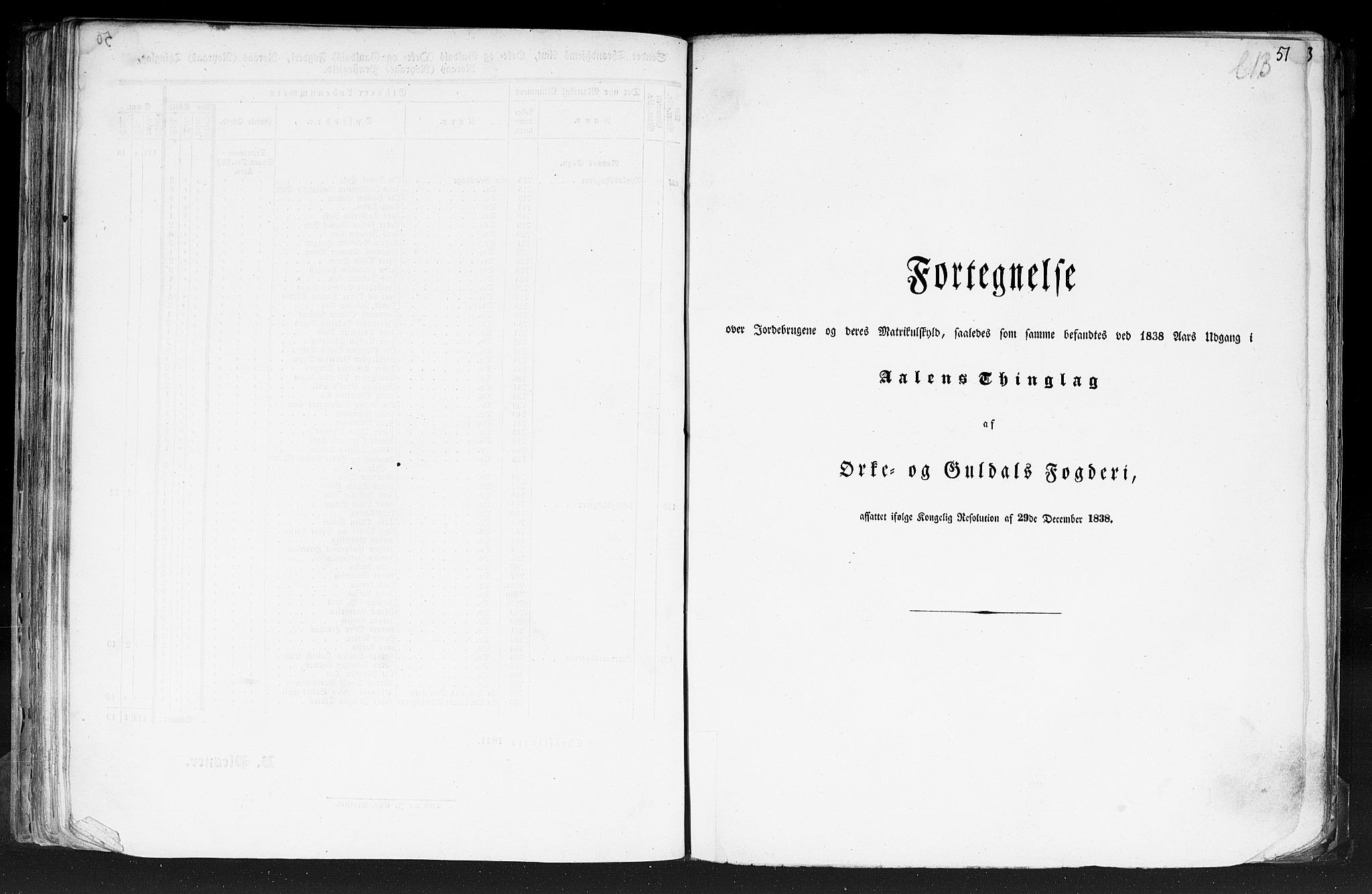 Rygh, AV/RA-PA-0034/F/Fb/L0014: Matrikkelen for 1838 - Søndre Trondhjems amt (Sør-Trøndelag fylke), 1838, s. 51a