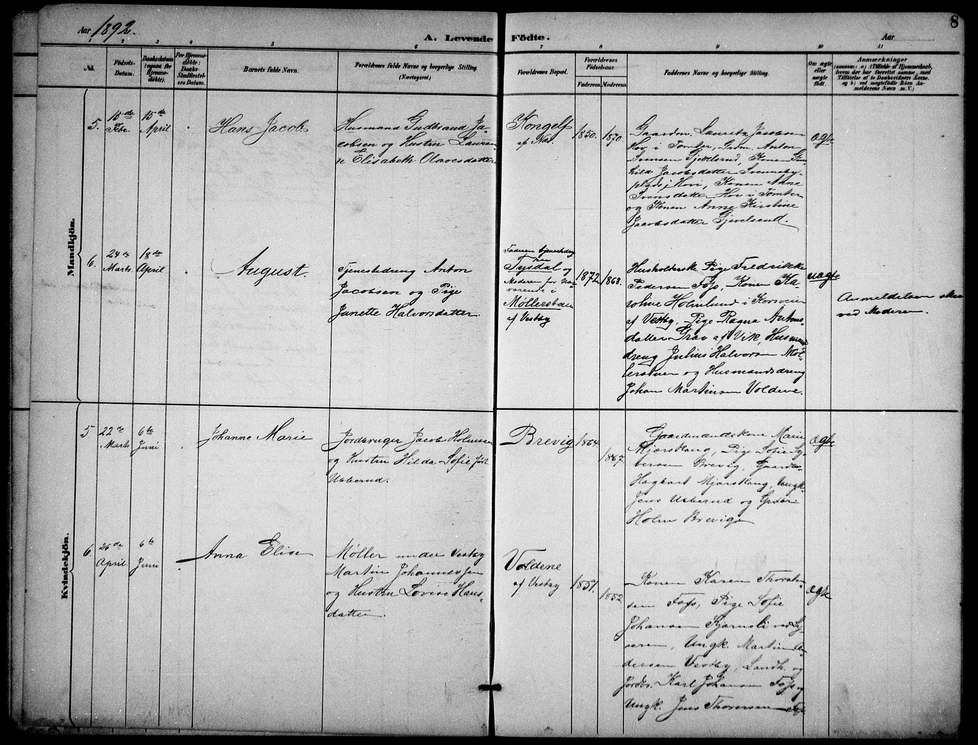 Enebakk prestekontor Kirkebøker, AV/SAO-A-10171c/G/Gb/L0002: Klokkerbok nr. II 2, 1891-1903, s. 8