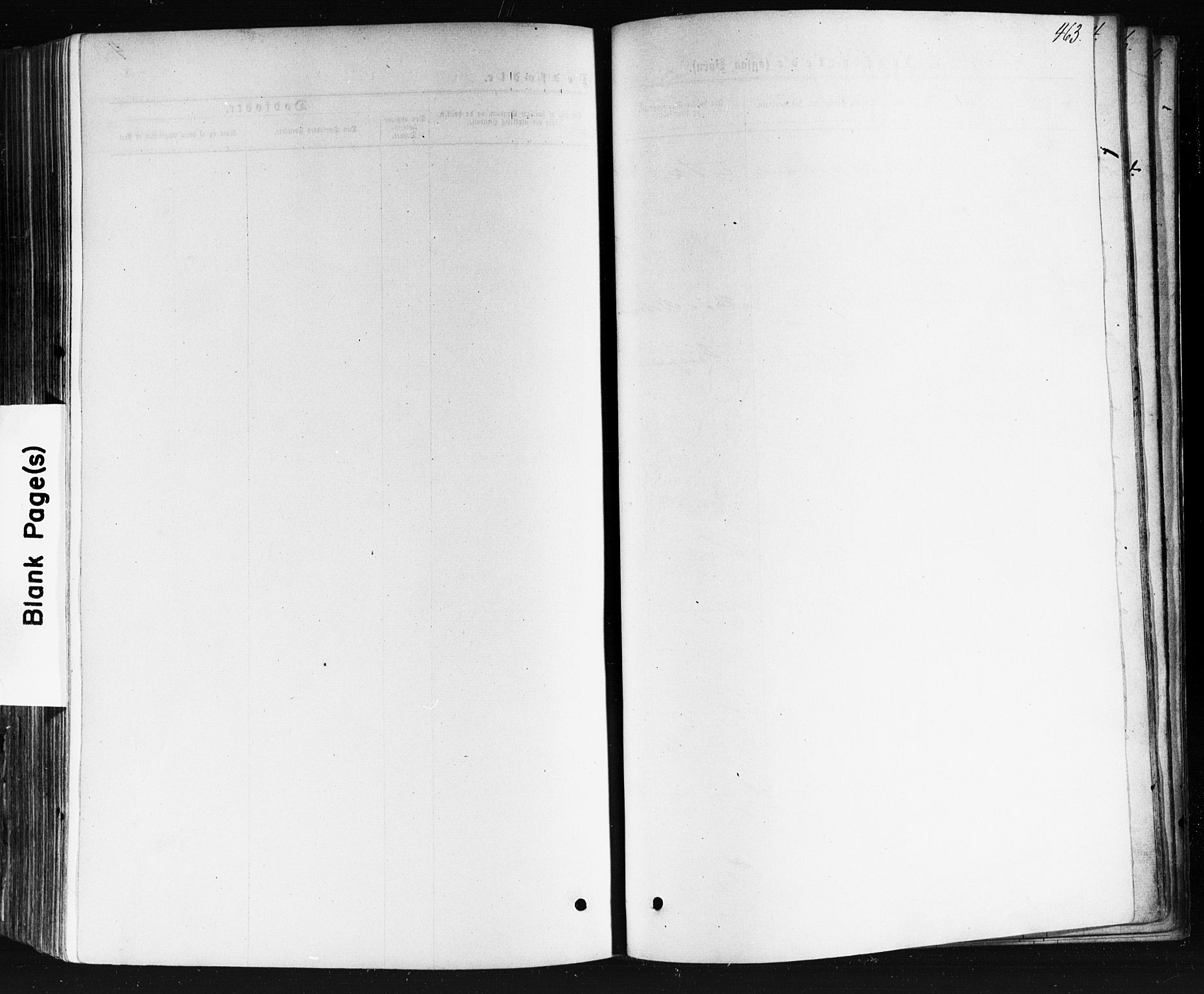 Bragernes kirkebøker, AV/SAKO-A-6/F/Fb/L0004: Ministerialbok nr. II 4, 1869-1875, s. 463