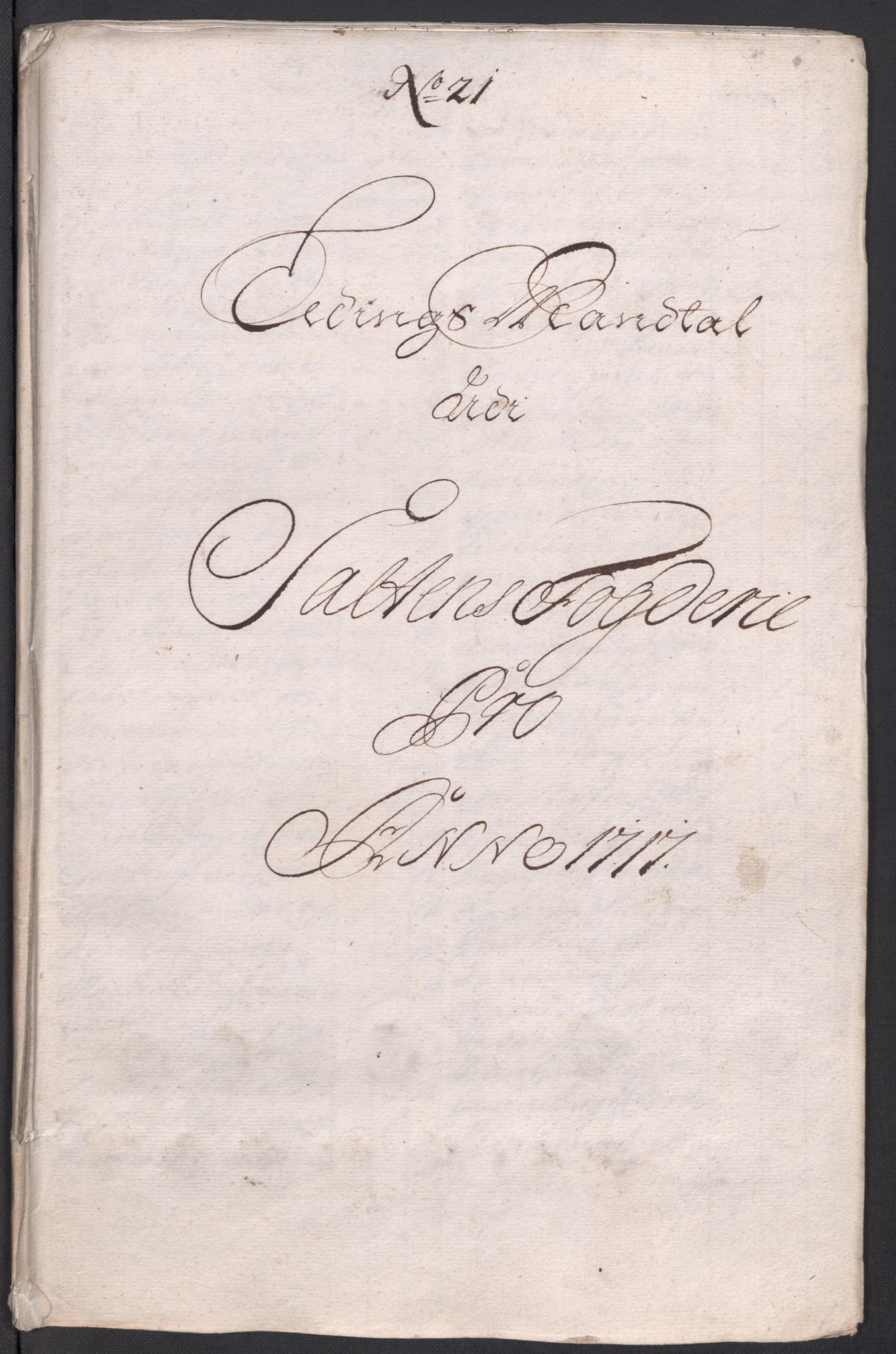 Rentekammeret inntil 1814, Reviderte regnskaper, Fogderegnskap, RA/EA-4092/R66/L4587: Fogderegnskap Salten, 1717, s. 236