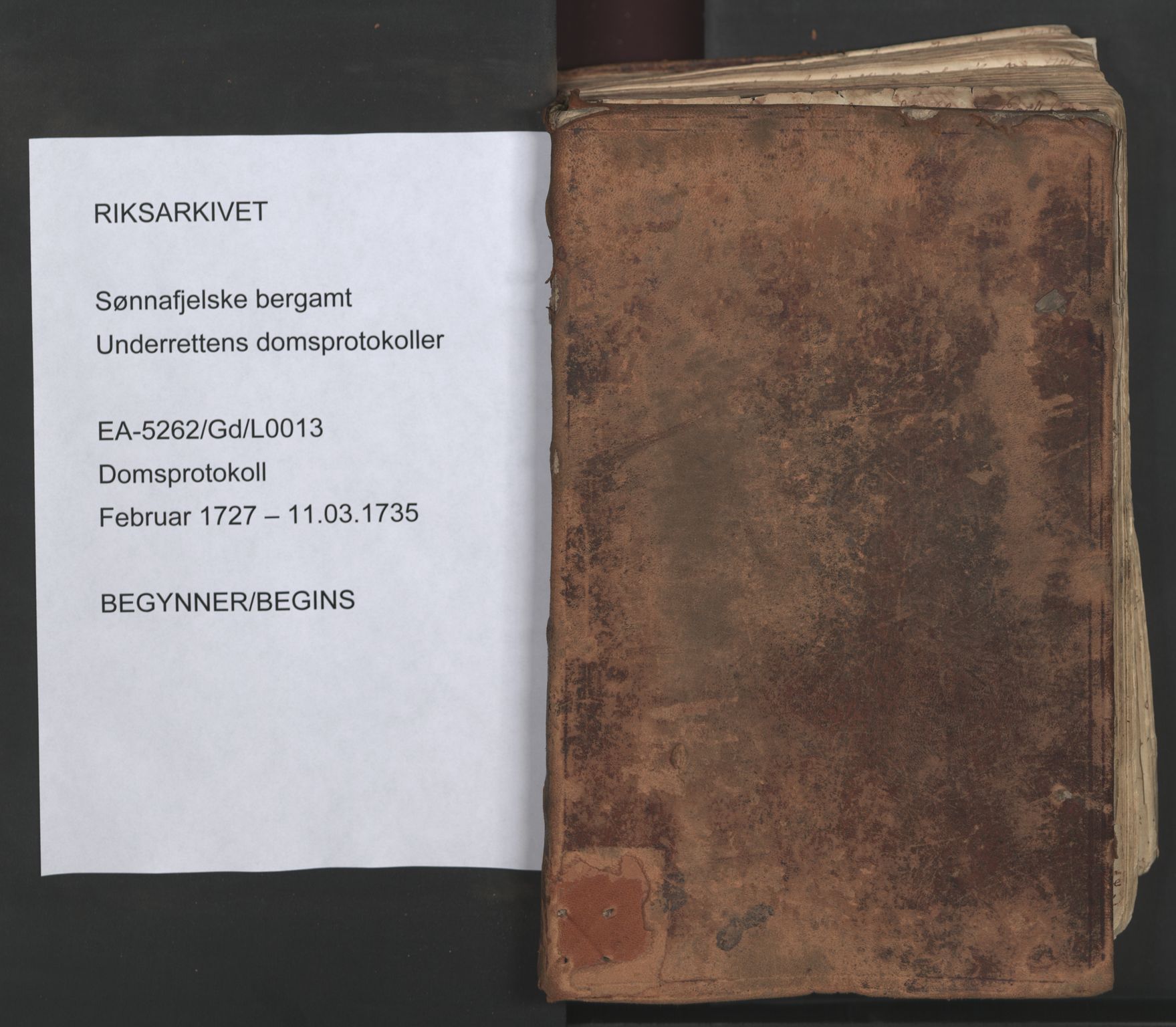 Sønnafjelske bergamt , SAKO/EA-5262/G/Gd/L0008: Domsprotokoll, 1727-1735