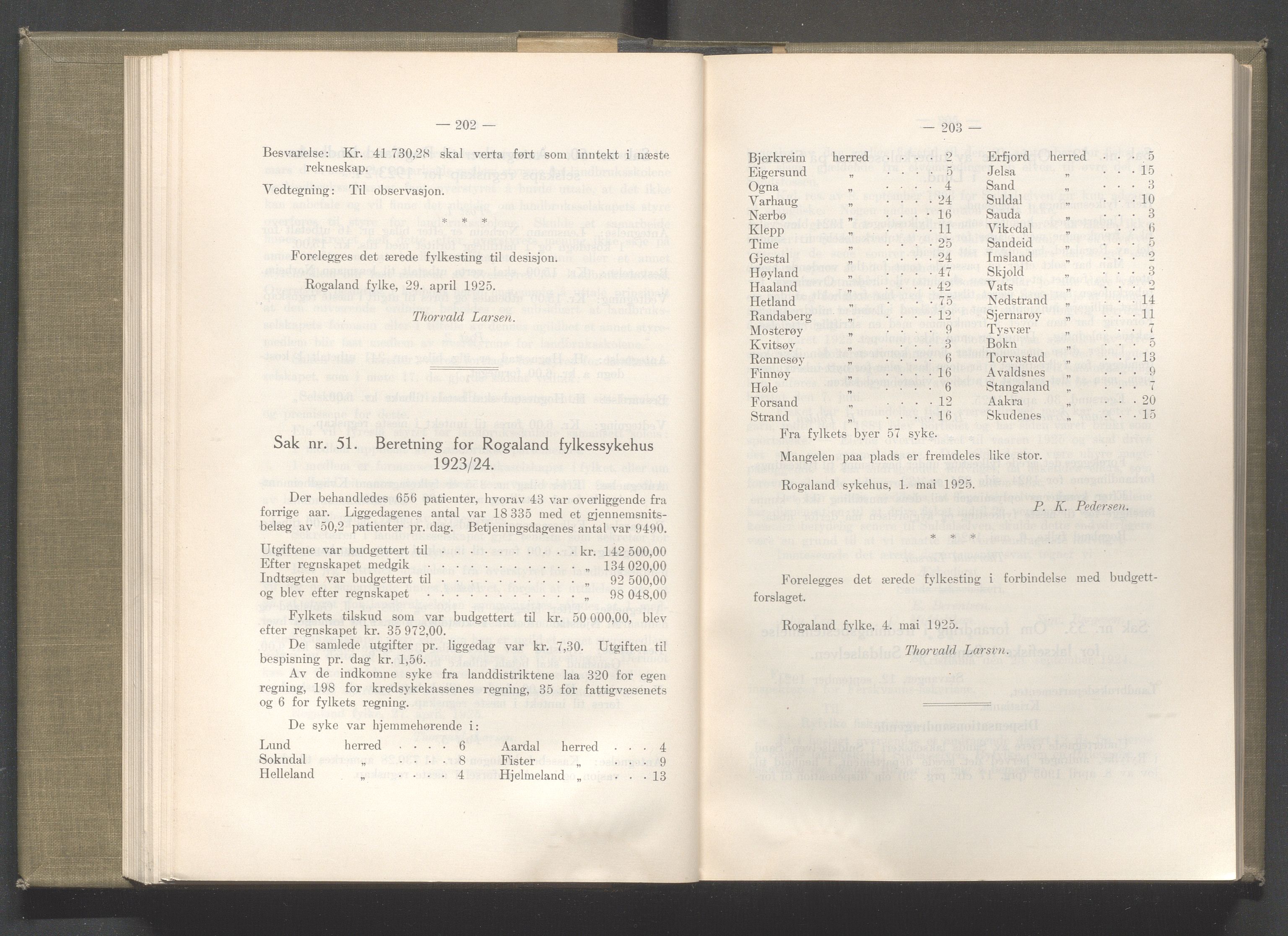 Rogaland fylkeskommune - Fylkesrådmannen , IKAR/A-900/A/Aa/Aaa/L0044: Møtebok , 1925, s. 202-203