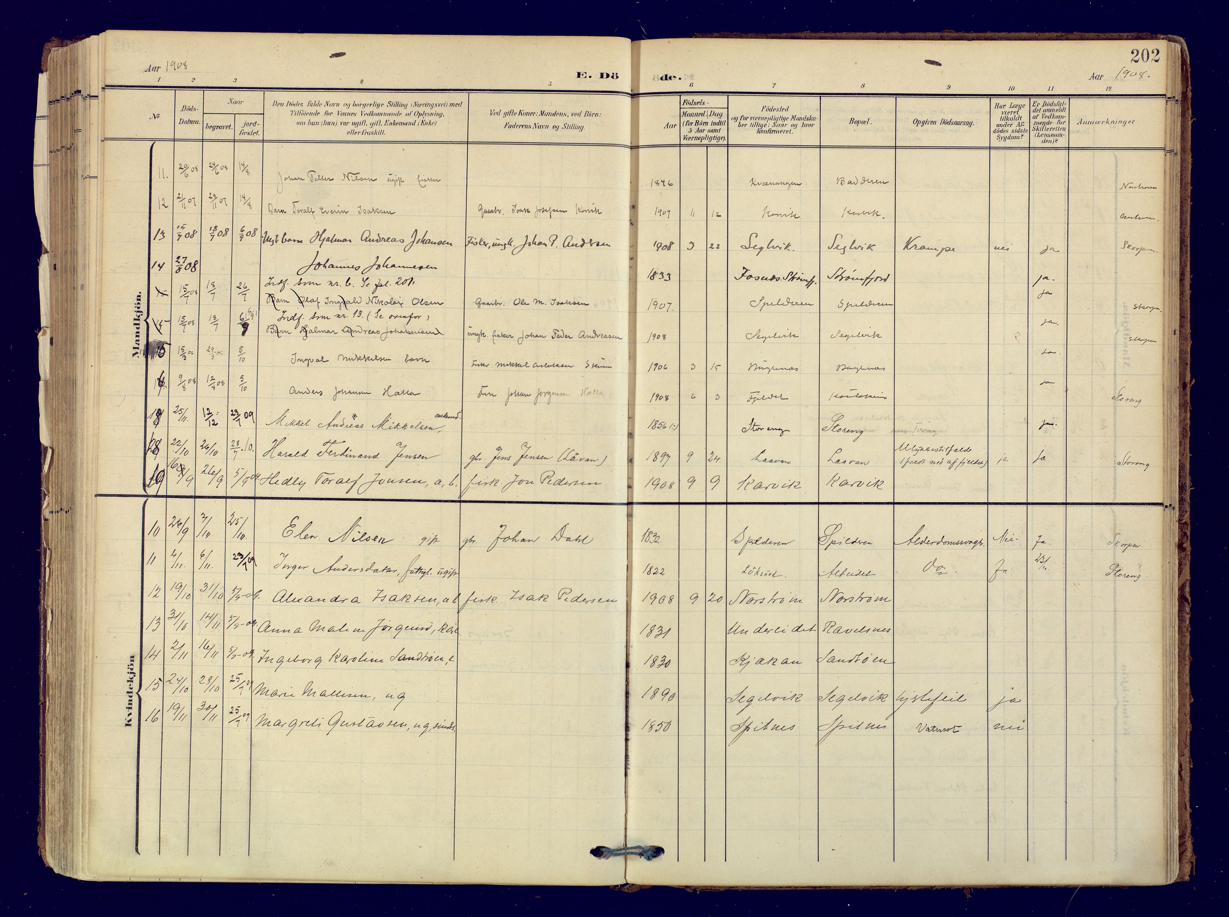 Skjervøy sokneprestkontor, AV/SATØ-S-1300/H/Ha/Haa: Ministerialbok nr. 19, 1908-1936, s. 202