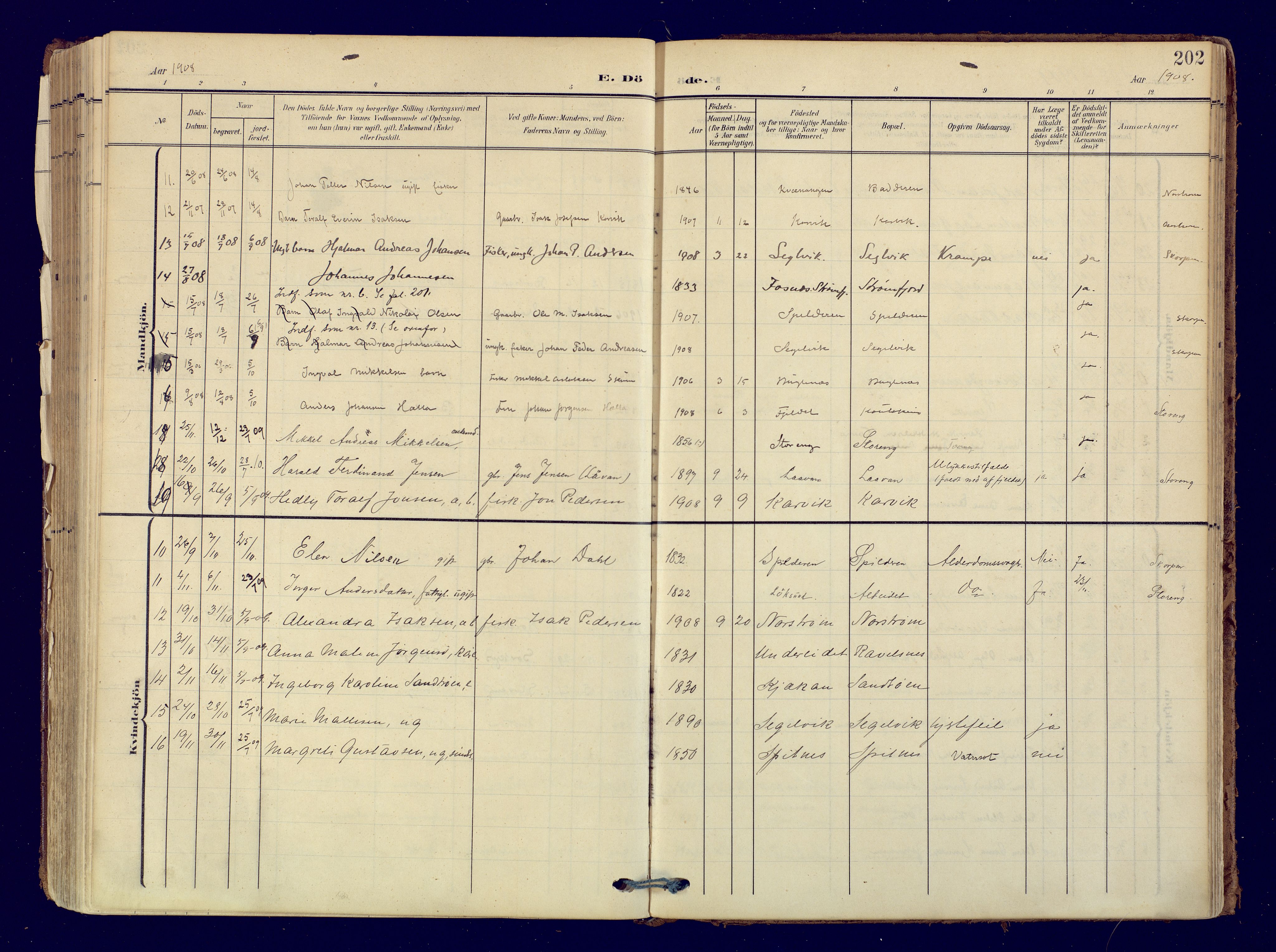 Skjervøy sokneprestkontor, SATØ/S-1300/H/Ha/Haa: Ministerialbok nr. 19, 1908-1936, s. 202