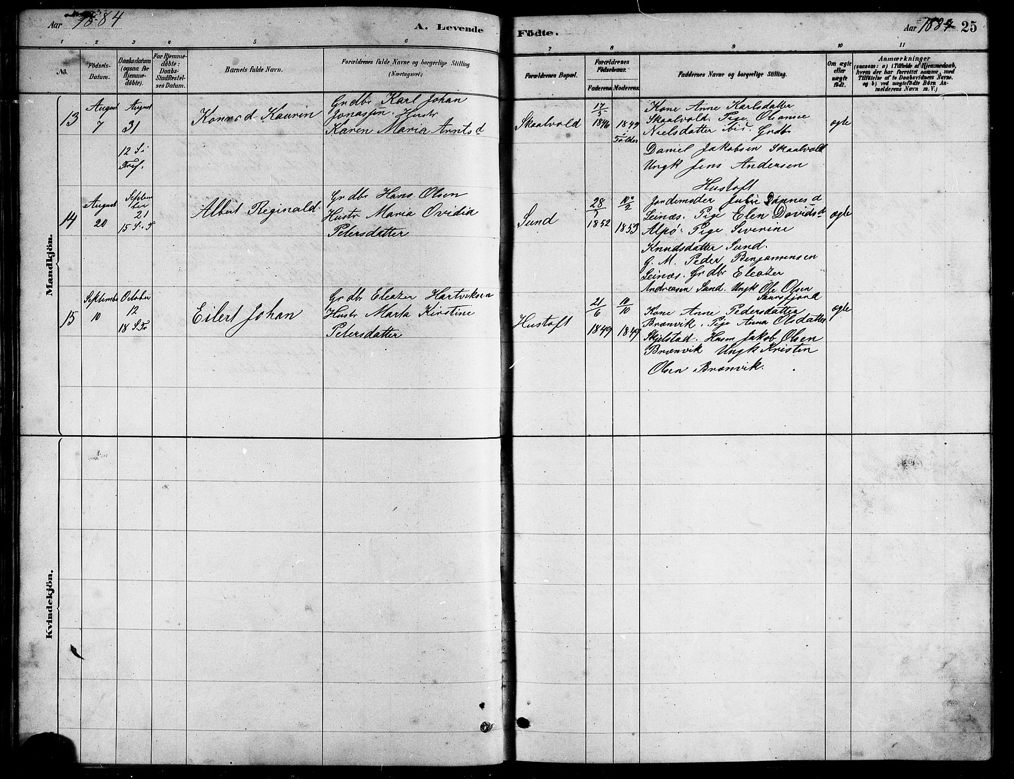 Ministerialprotokoller, klokkerbøker og fødselsregistre - Nordland, AV/SAT-A-1459/857/L0828: Klokkerbok nr. 857C03, 1879-1908, s. 25