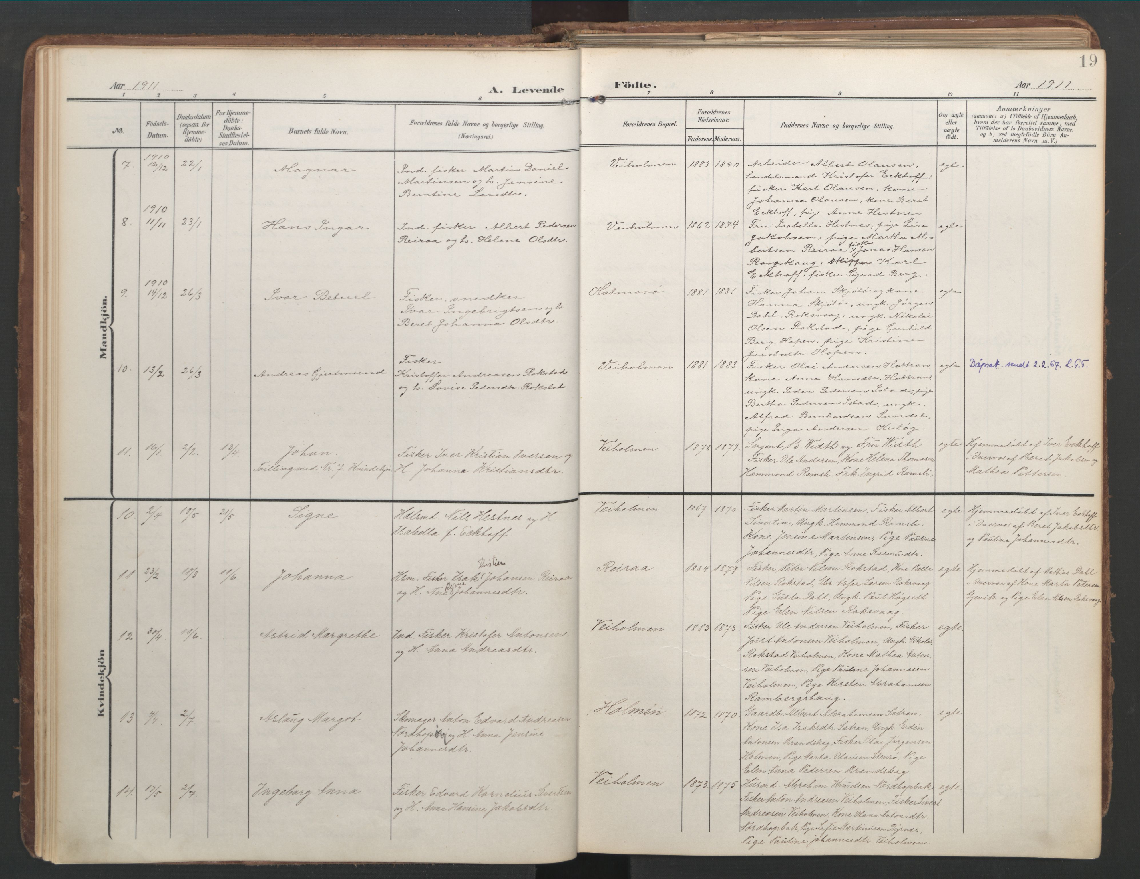 Ministerialprotokoller, klokkerbøker og fødselsregistre - Møre og Romsdal, AV/SAT-A-1454/583/L0955: Ministerialbok nr. 583A02, 1907-1926, s. 19