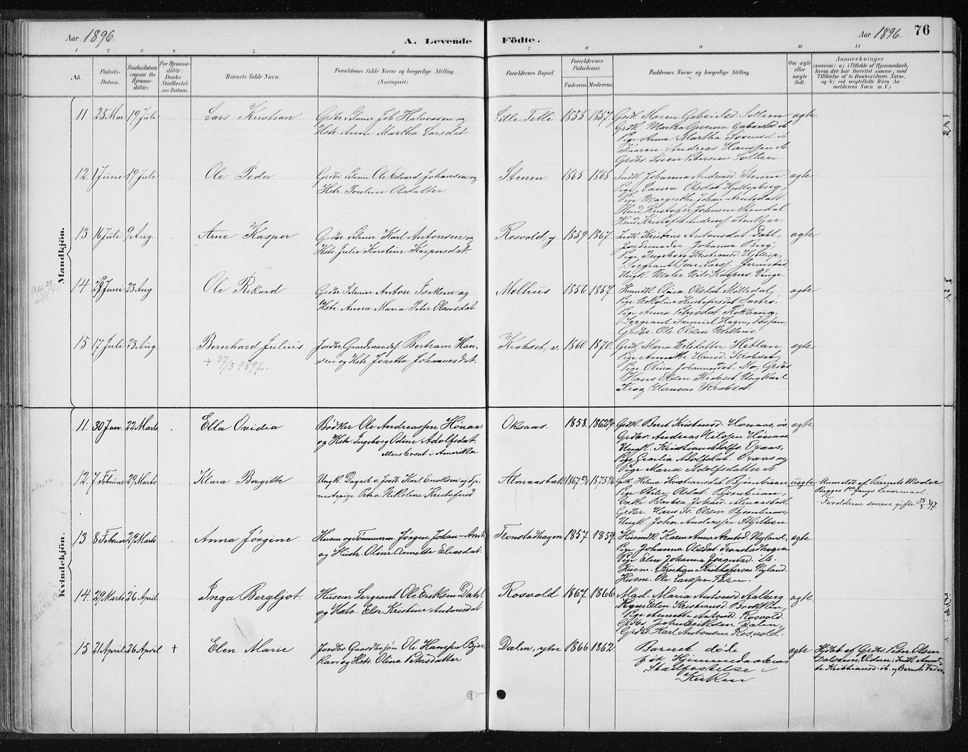 Ministerialprotokoller, klokkerbøker og fødselsregistre - Nord-Trøndelag, AV/SAT-A-1458/701/L0010: Ministerialbok nr. 701A10, 1883-1899, s. 76