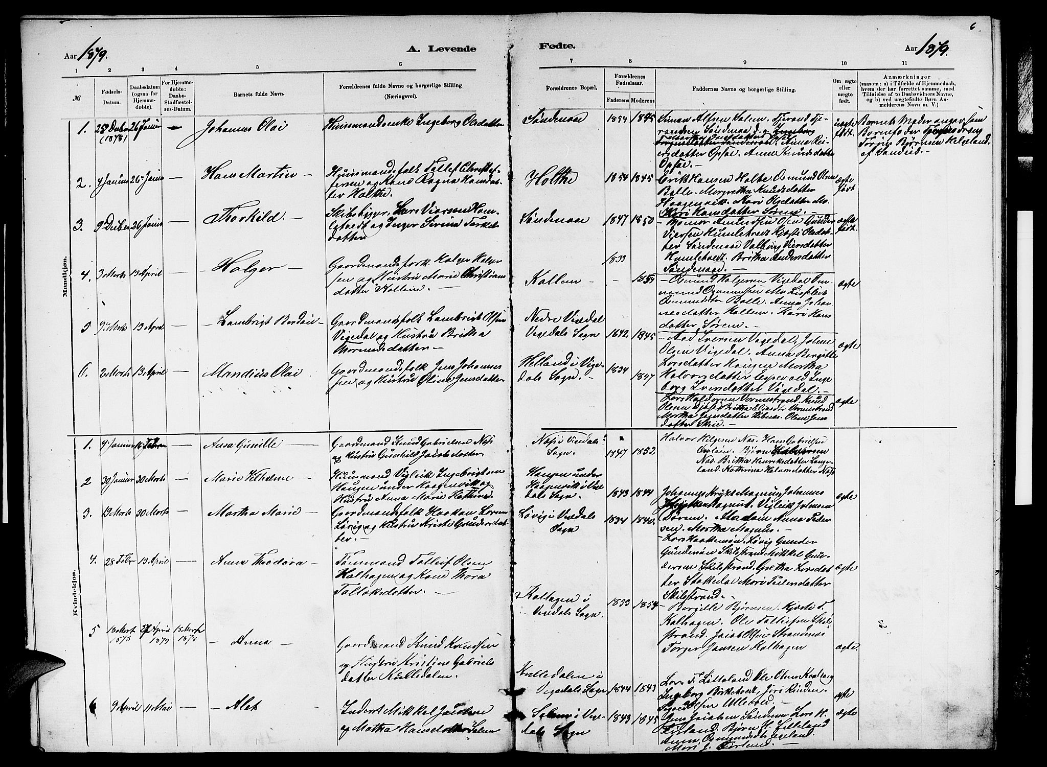 Vikedal sokneprestkontor, AV/SAST-A-101840/01/V: Klokkerbok nr. B 5, 1878-1888, s. 6
