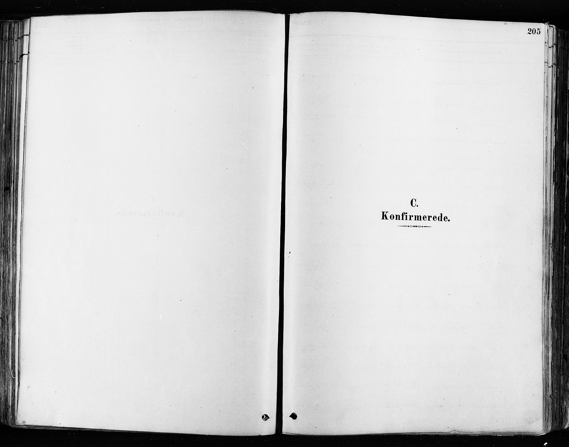 Tune prestekontor Kirkebøker, AV/SAO-A-2007/F/Fa/L0017: Ministerialbok nr. 17, 1878-1887, s. 205